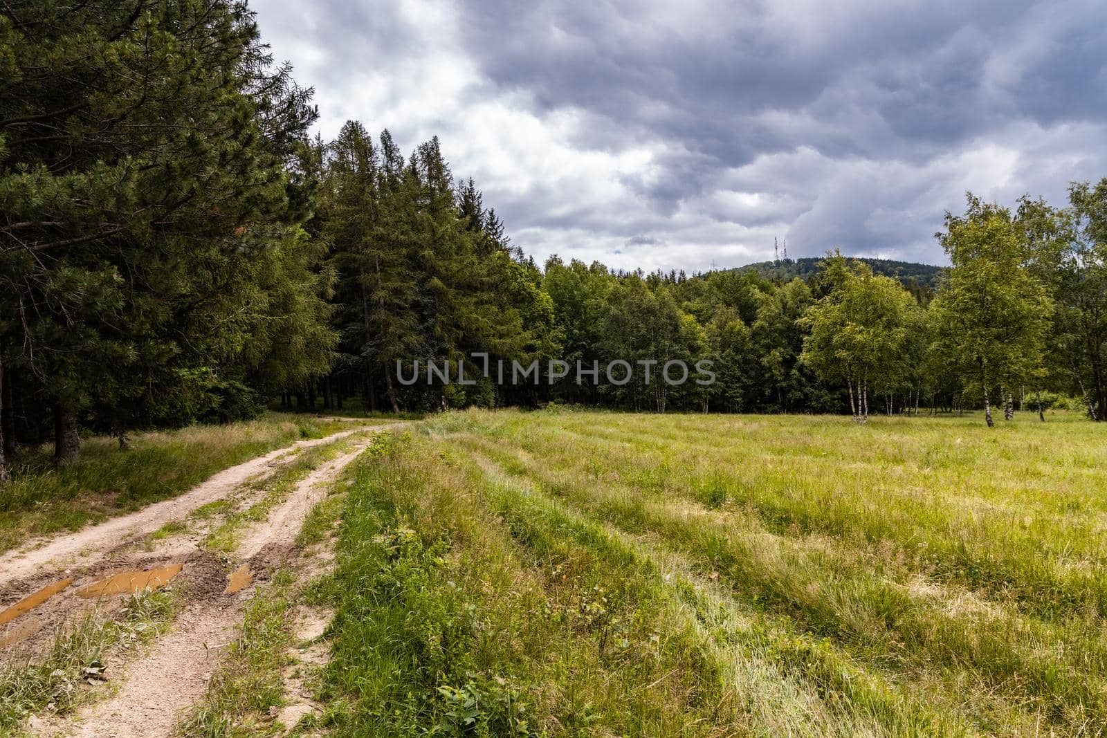 Long mountain trail in Walbrzych Mountains at cloudy day by Wierzchu