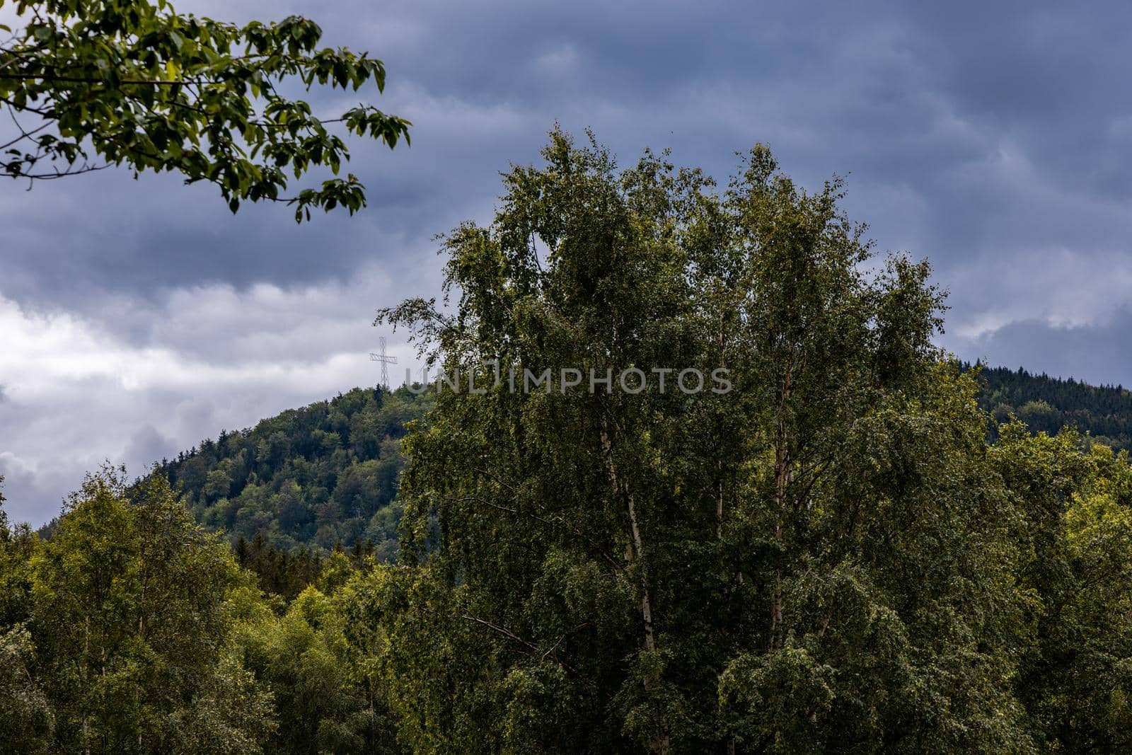 Big steel cross on top of the Chelmiec mountain behind and over trees by Wierzchu