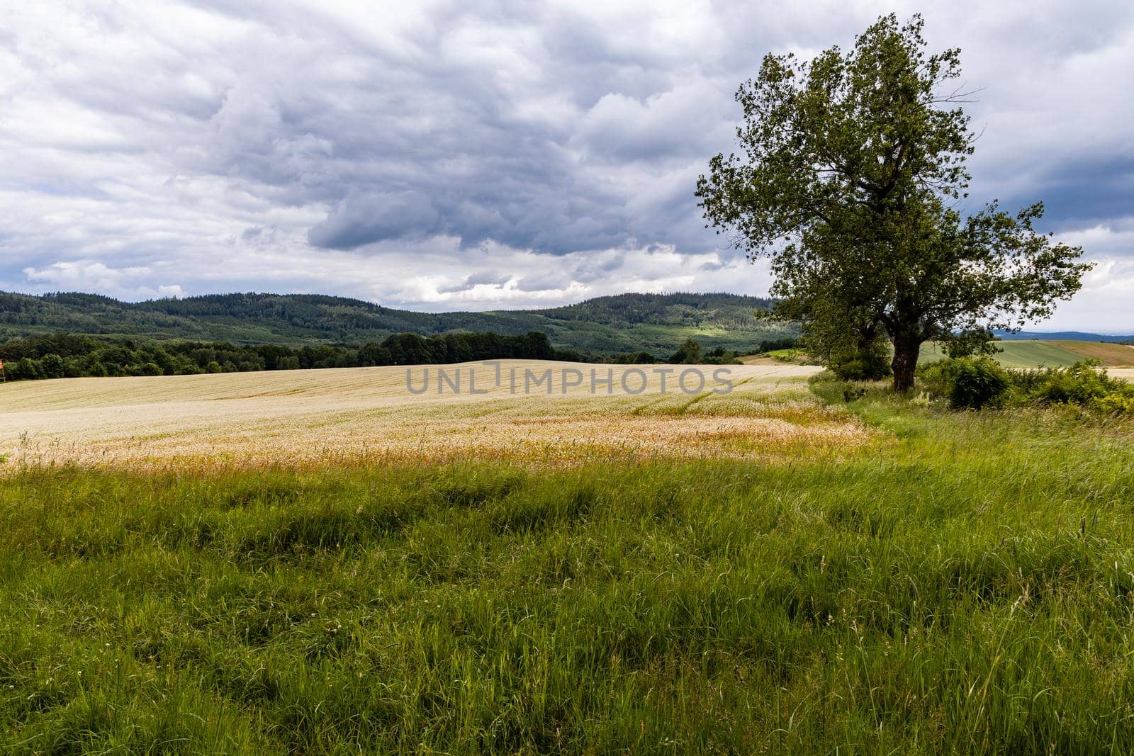 Big hills and fields next to mountain trail in Walbrzych mountains