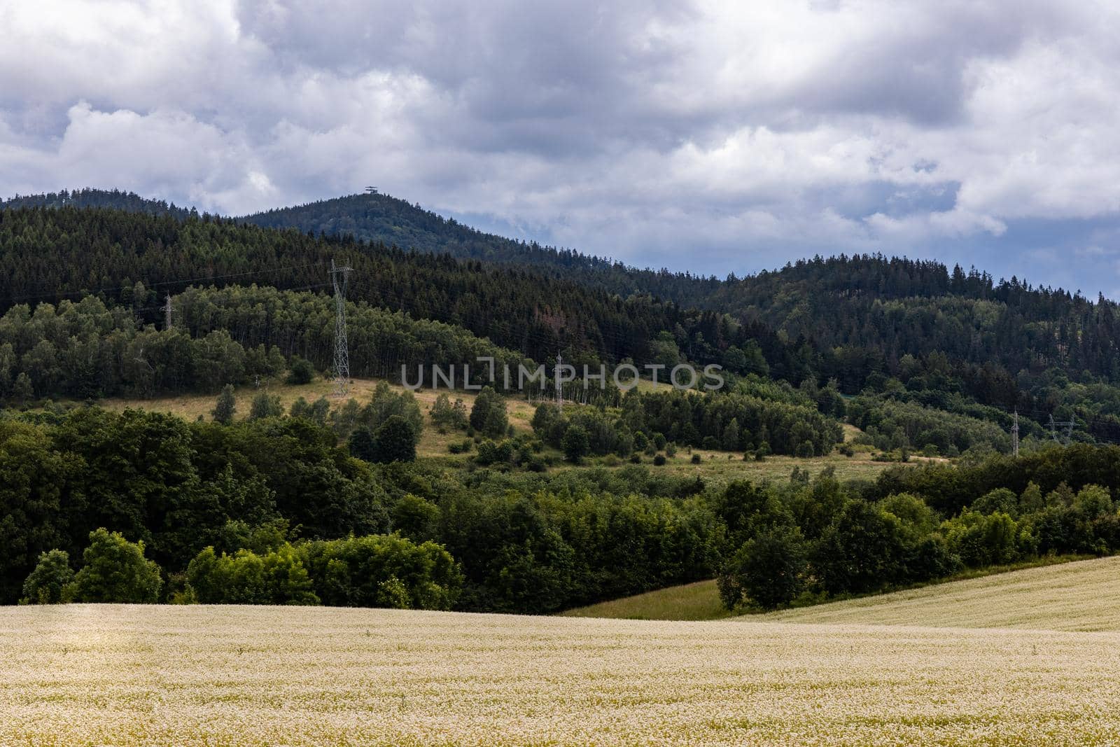 Big hills and fields next to mountain trail in Walbrzych mountains