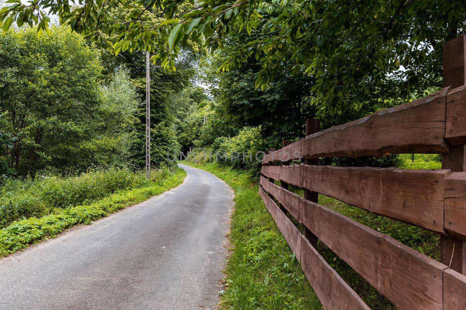 Long road as mountain trail in forest in Walbrzych Mountains  by Wierzchu