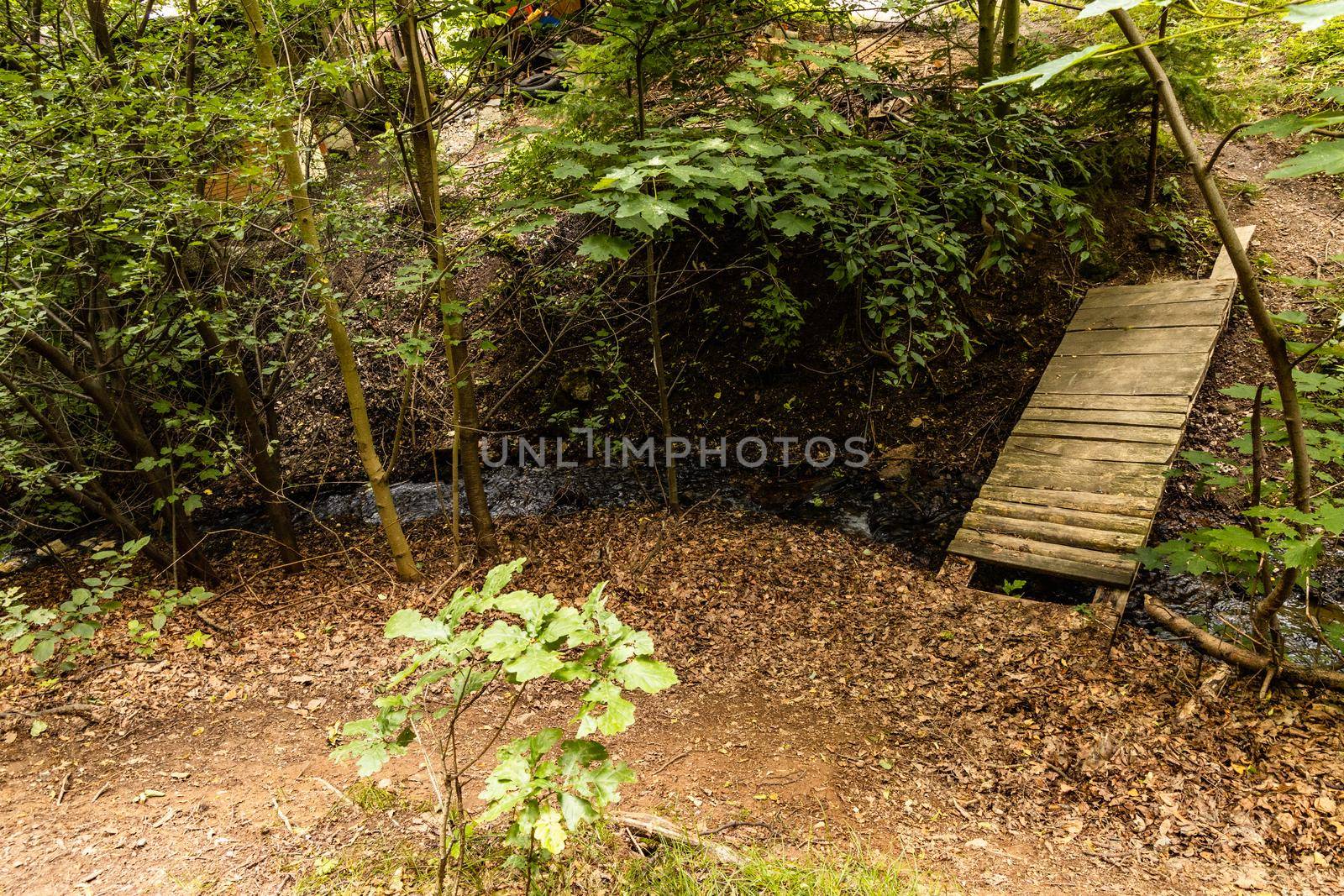 Long mountain trail in forest in Walbrzych Mountains at cloudy day by Wierzchu