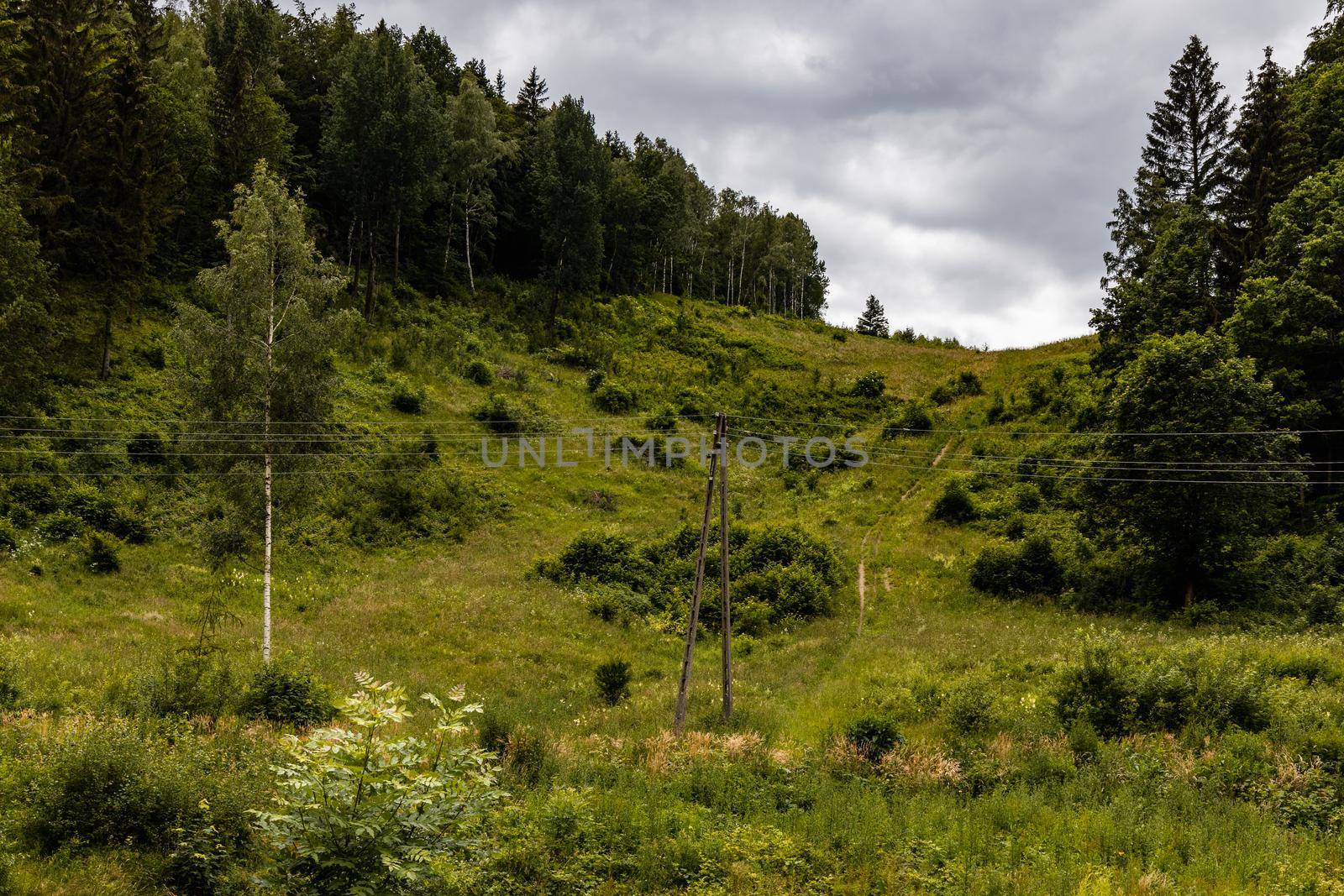 Big green glade on small hill next to mountain trail