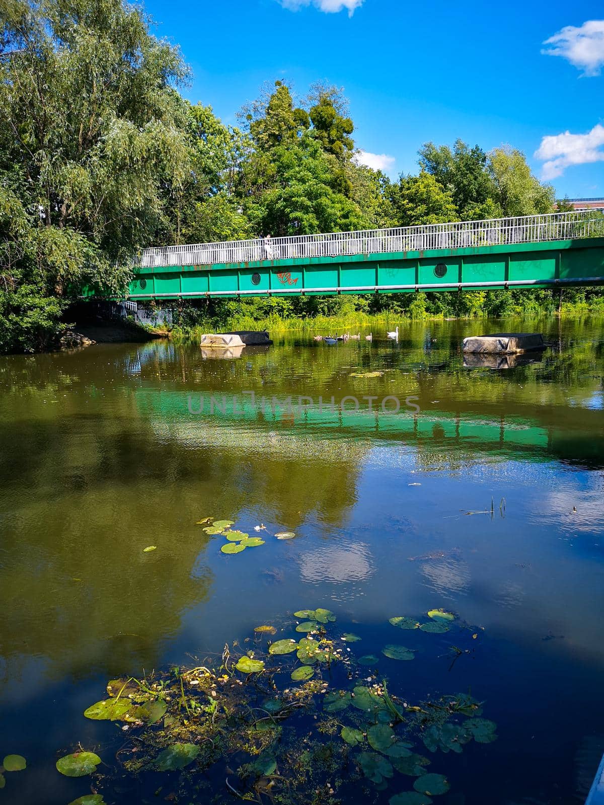 Platform with benches as relaxing area on Olawa river by Wierzchu