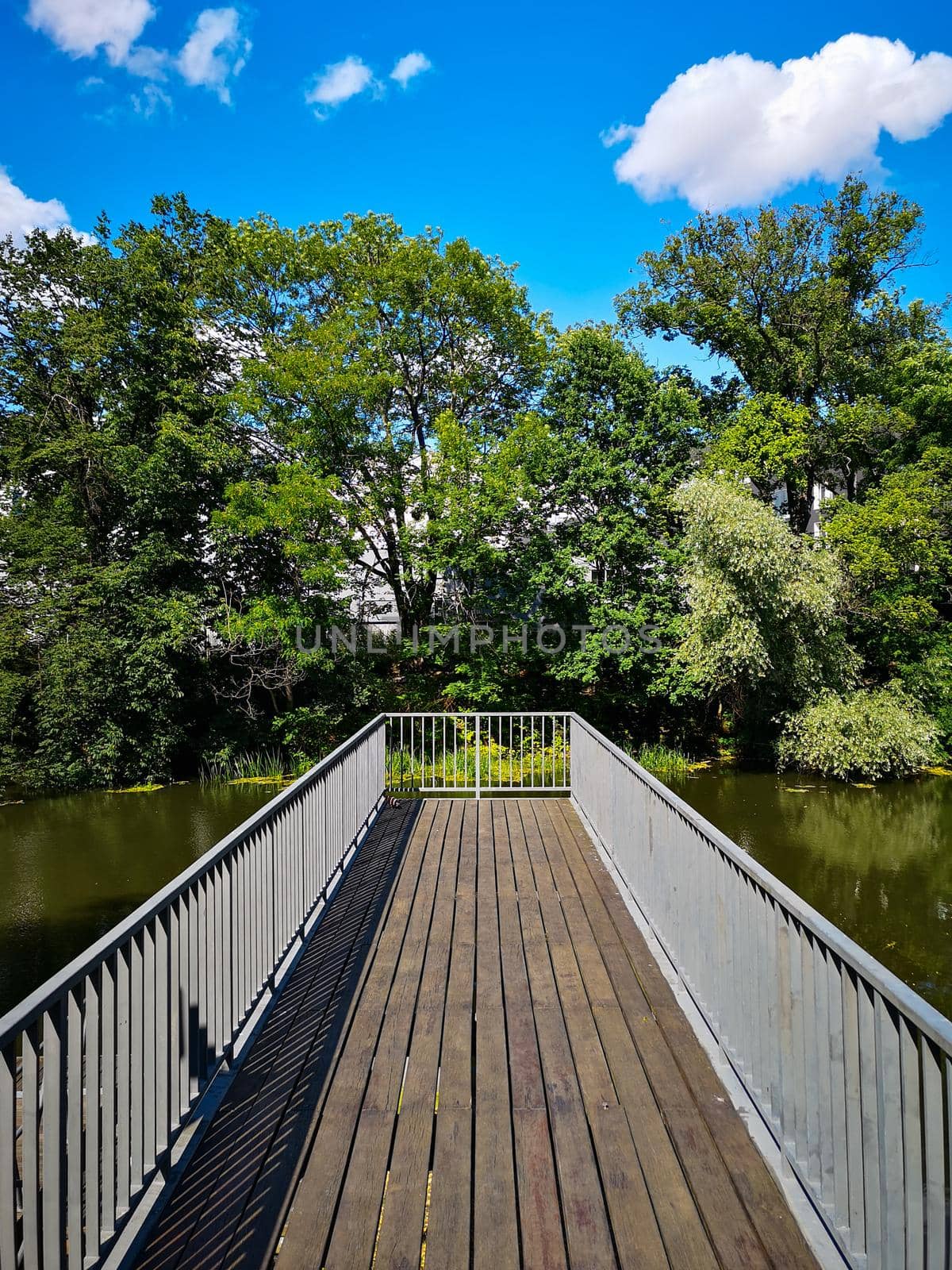 Wide long wooden platform over river at sunny day