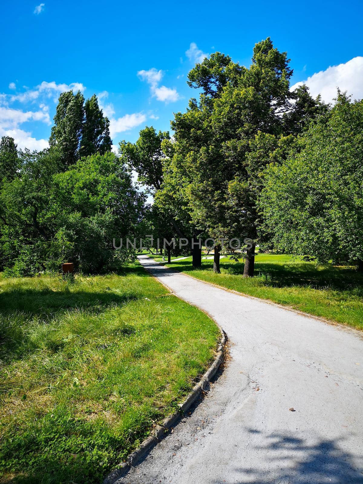 Short path between bushes and trees in small park by Wierzchu