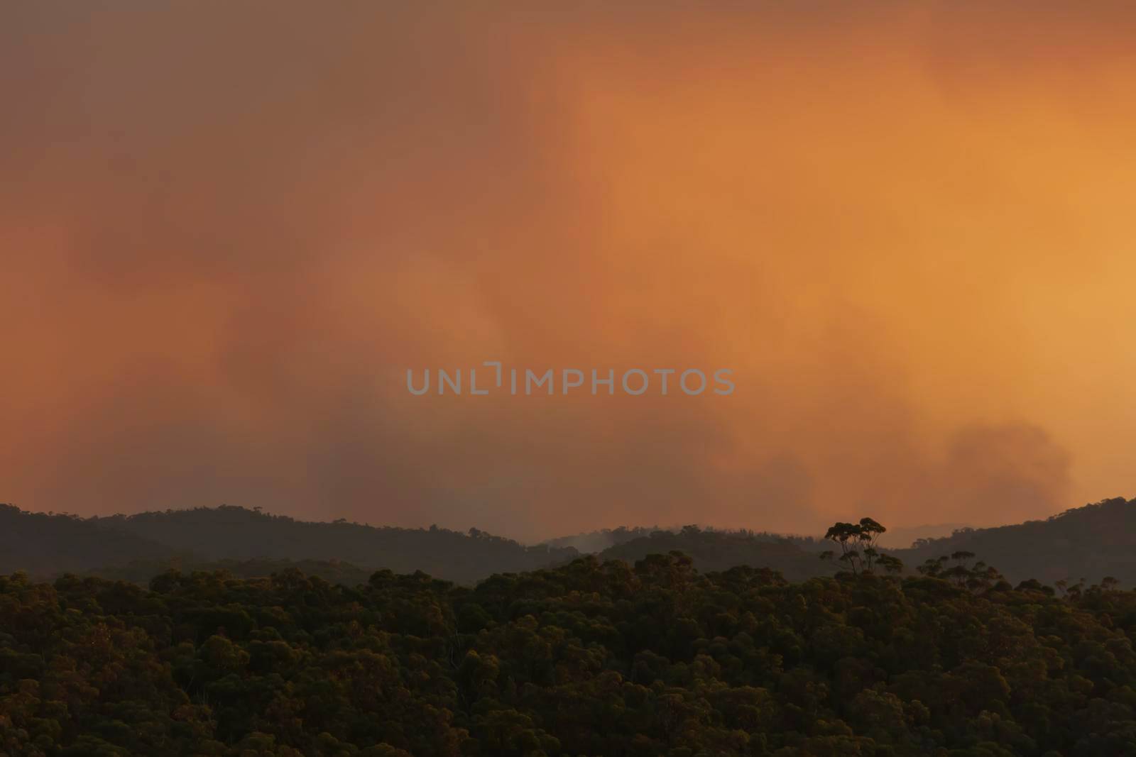 Photograph of bushfire smoke at sunset from hazard reduction burning in the Blue Mountains in New South Wales in Australia