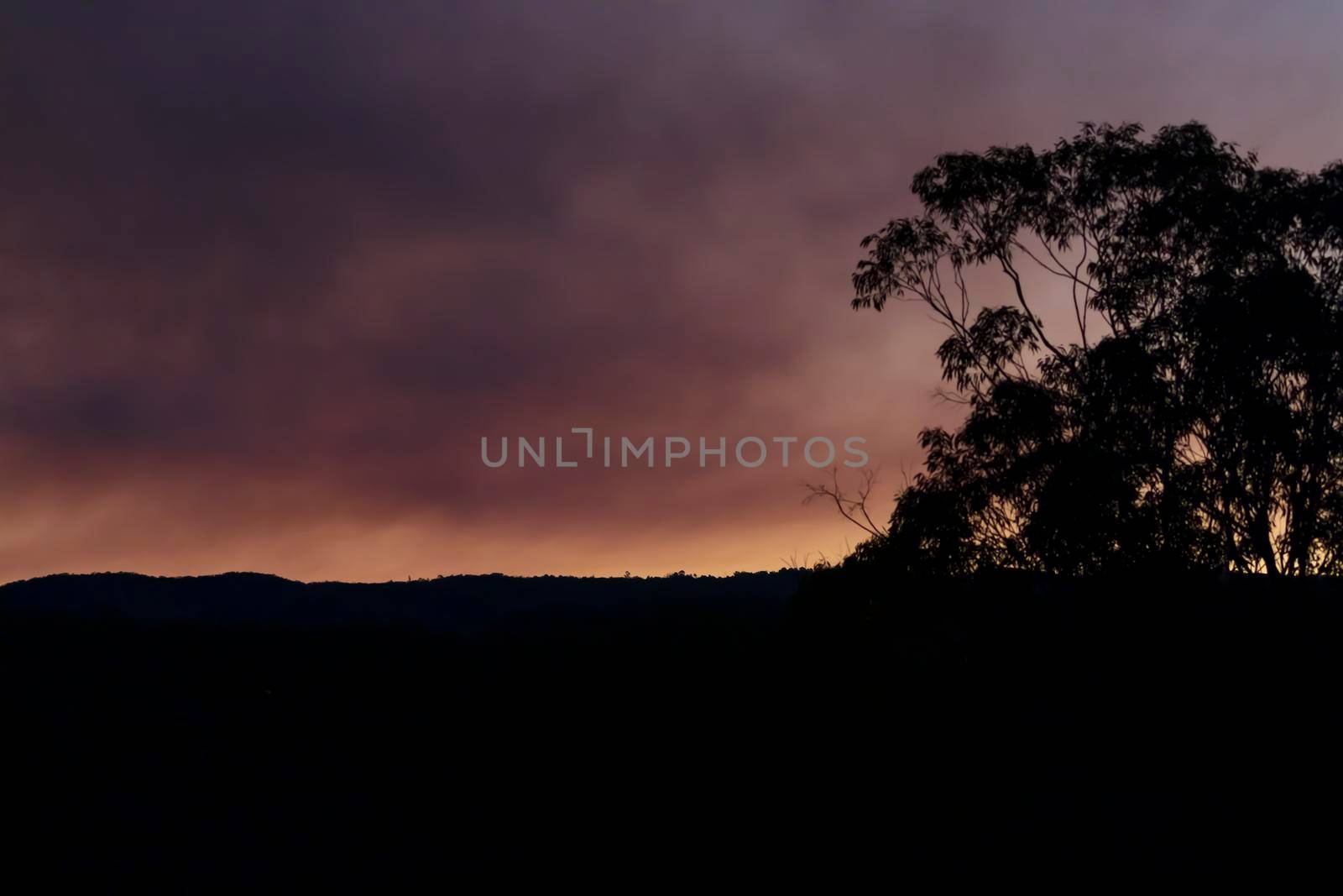 Photograph of bushfire smoke in The Blue Mountains in Australia by WittkePhotos