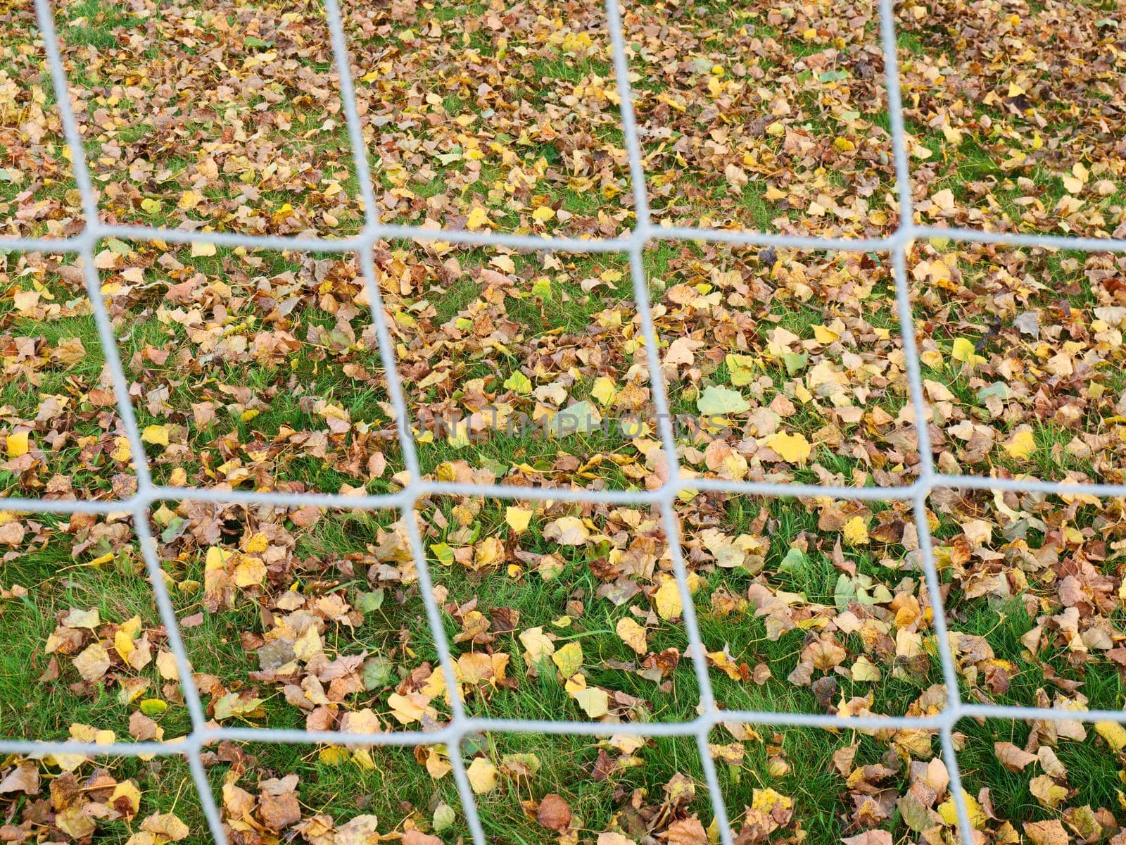 Soccer net and field on bright green artificial turf covered with autumna fallen leaves