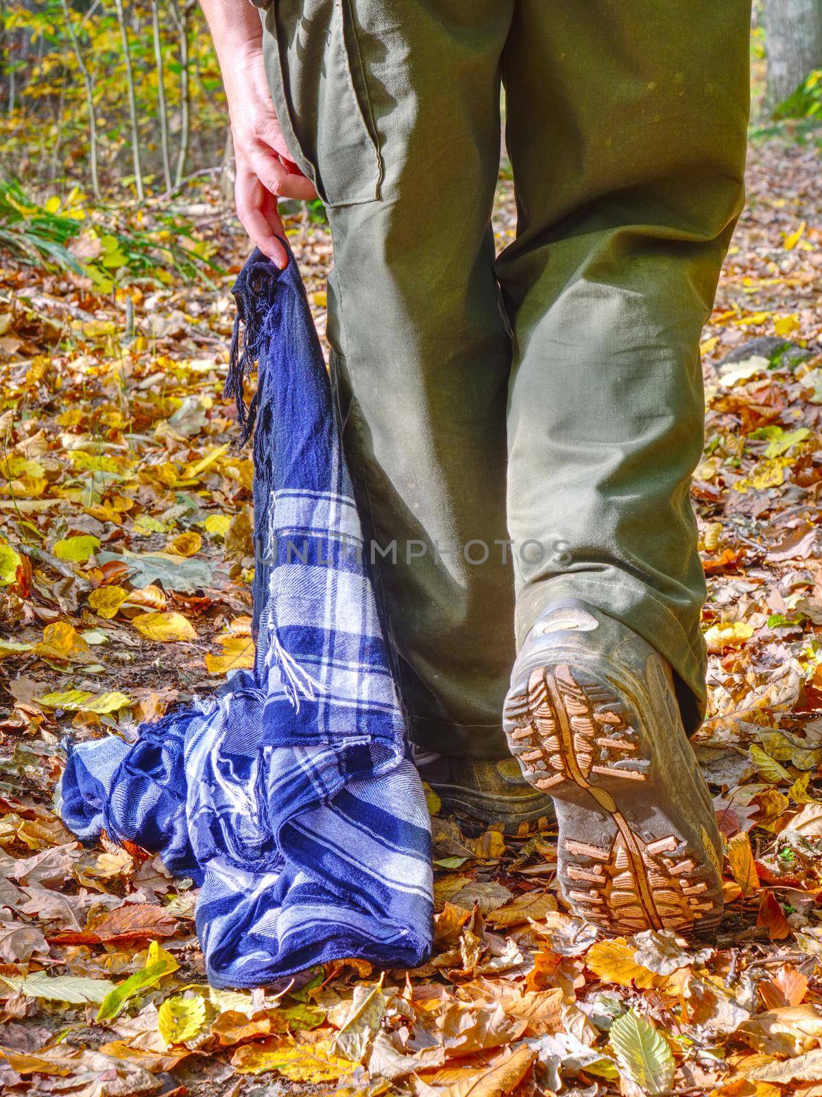 Tourist woman pull blue white knitted scarf in autumn park on the colorful ground, throwing yellow tree leaves