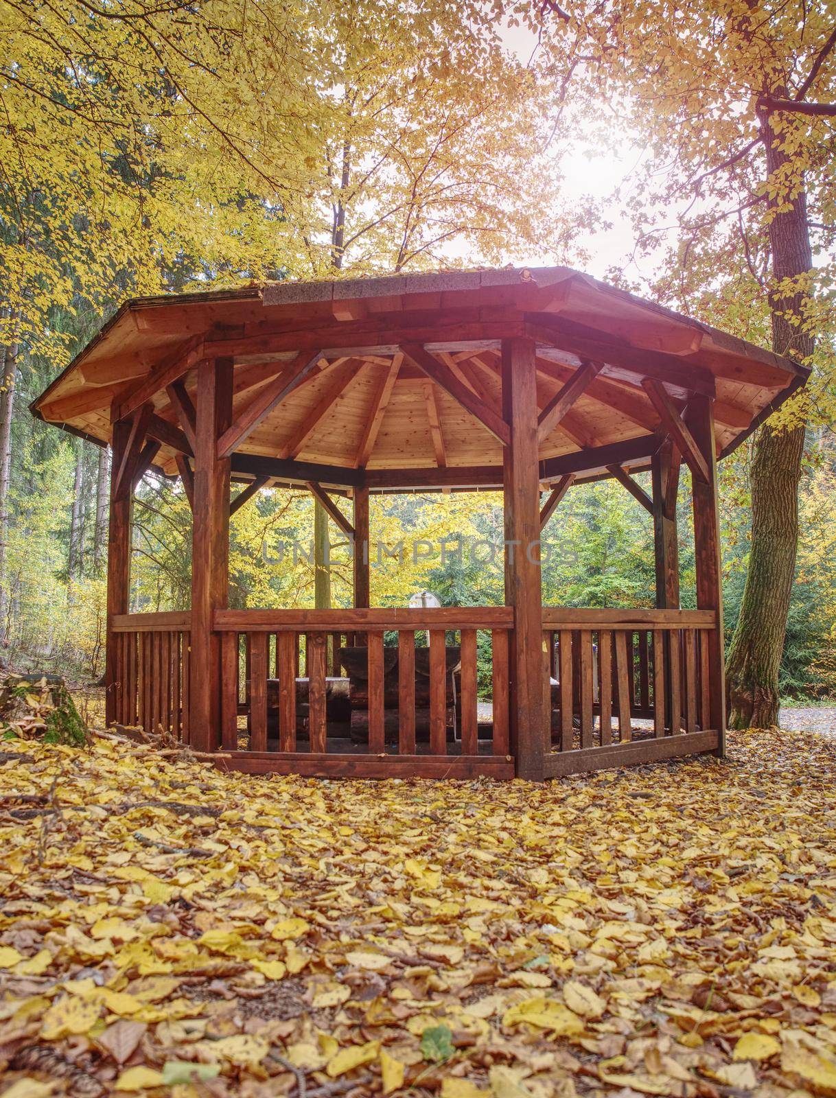 Renewal wooden Arbor or pavilon in leaves forest in fall season. Place for leisure travelers. Concept: environment protect nature 