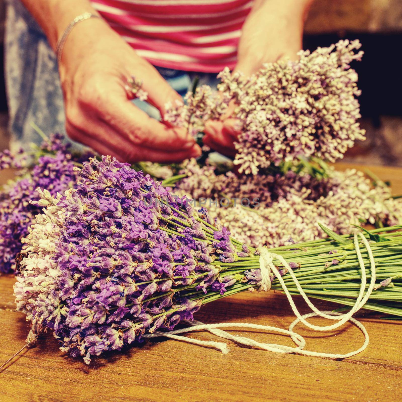 Bundles of fresh medical tied herbs hanging on wooden desk by rdonar2