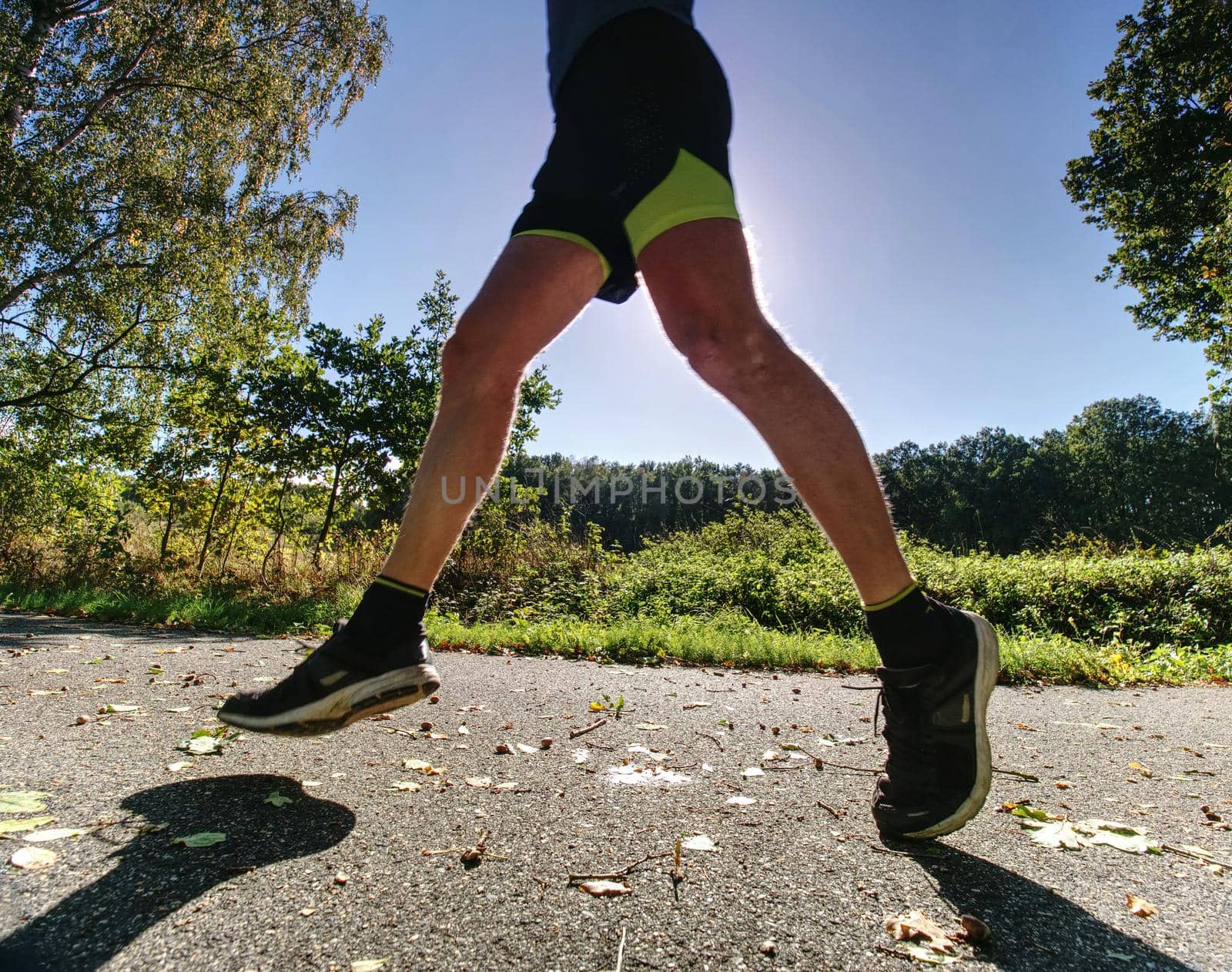 The man run in the forest. The Athletic man running on a forest trail. The man running on warmday