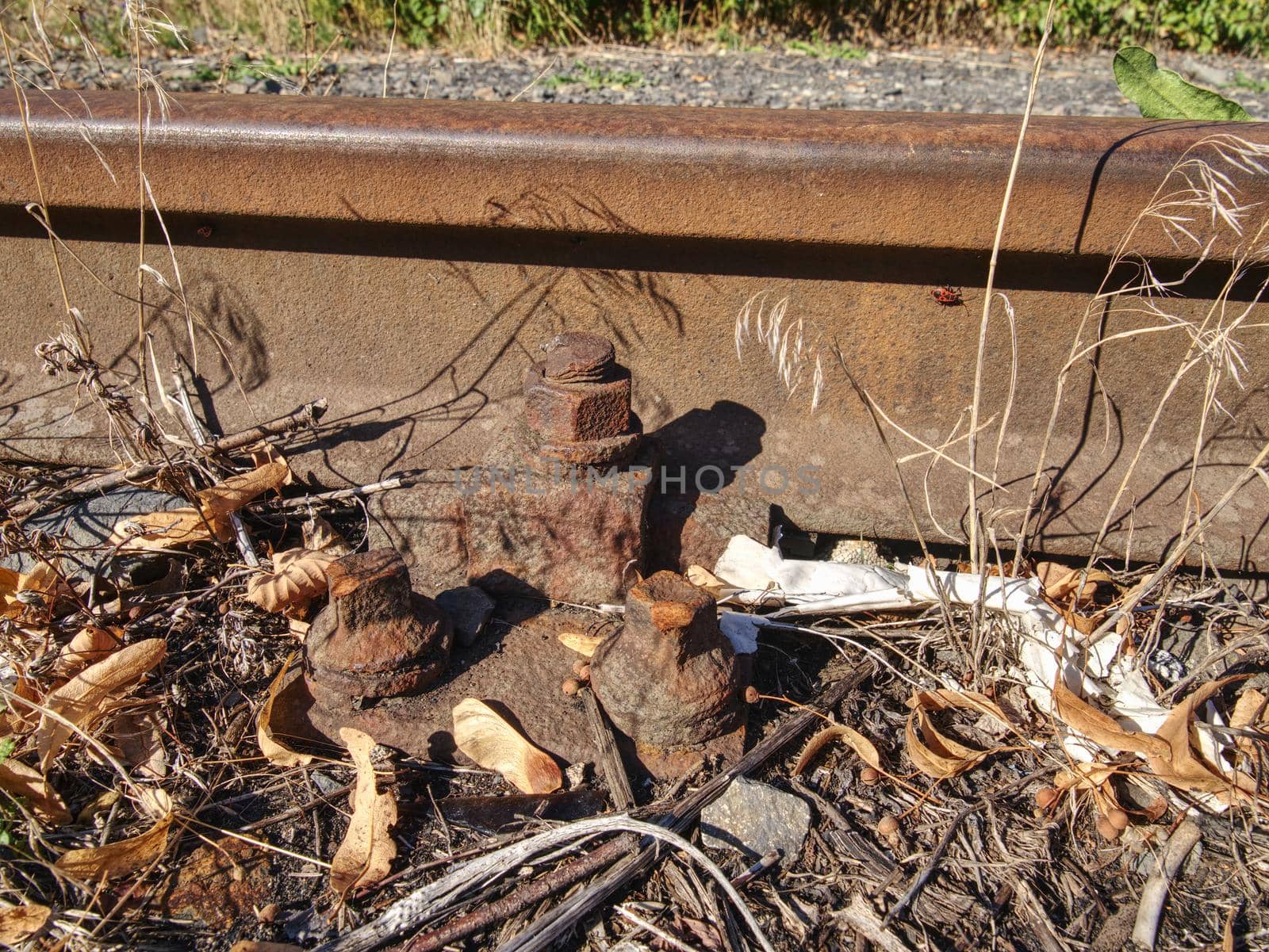 Rusty abandoned rails. Terrible smell rotten old wooden ties with phenol asphalt paint. Environmental burden environmental hazards.