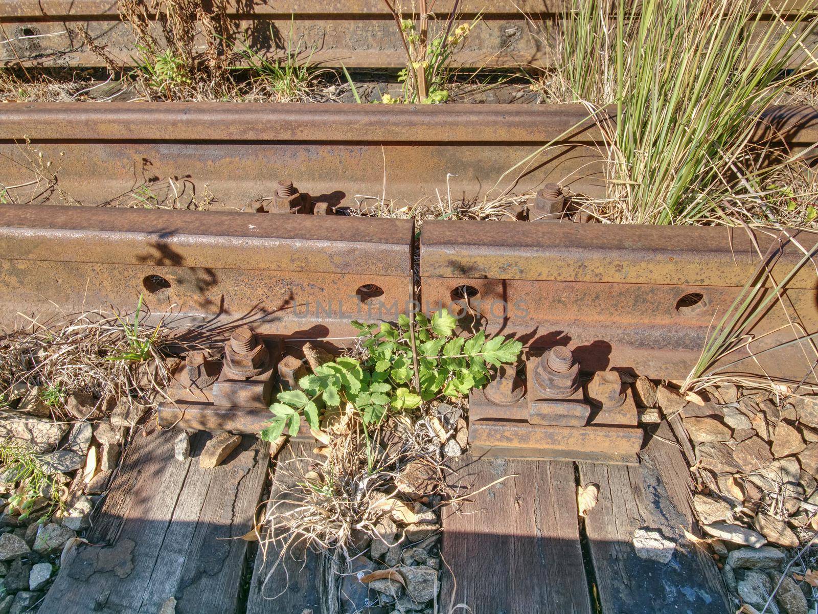 Closeup of an old rusty screw in rails. Detail of rusty screws and nut on old railroad track. Rail fastener for hold rail with plinth track