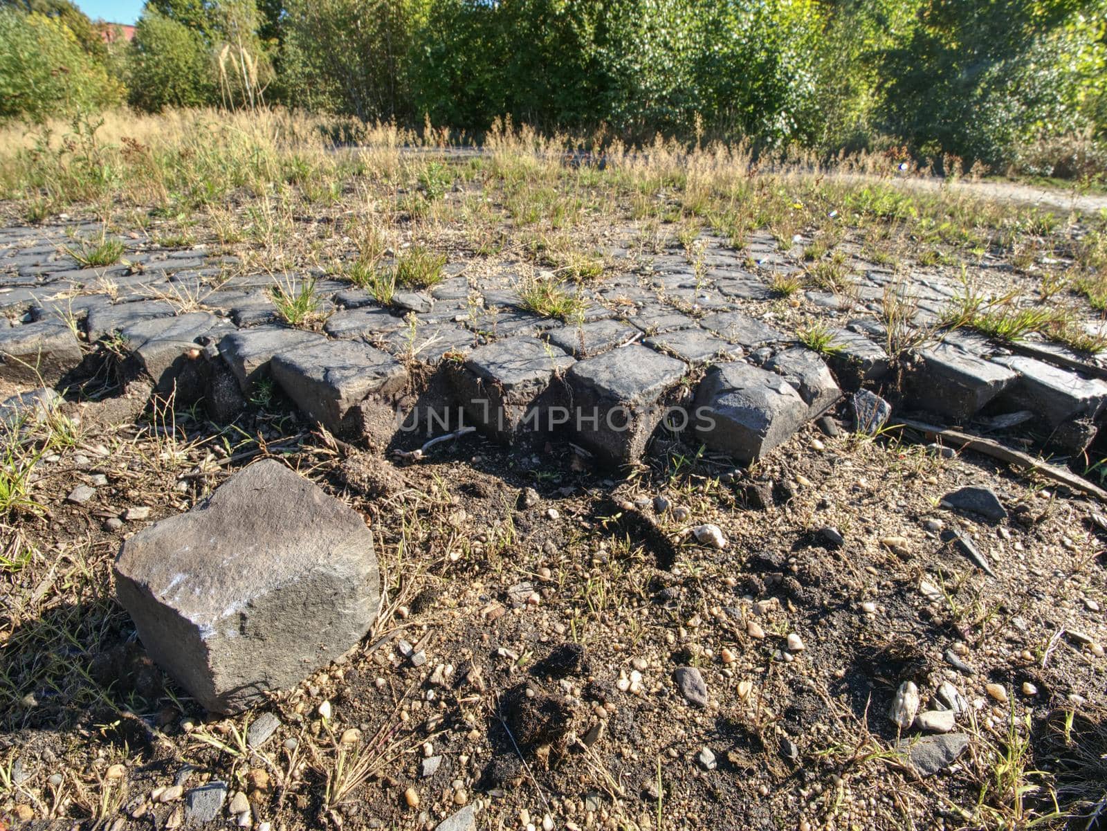 Old and abandoned granite cobbled stones road,  close up with dry grass and leaves