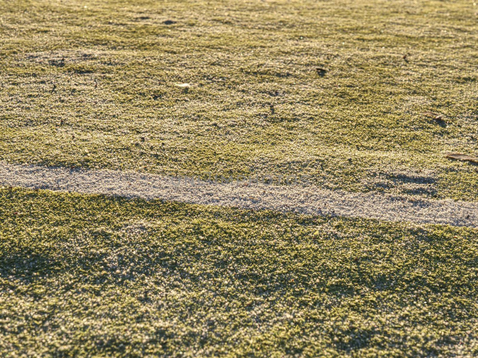 Line of empty green soccer field in the stadium. The artificial turf for hockey