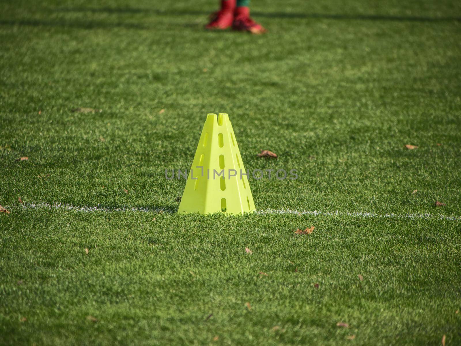 Soccer football playground  during the team training before the match. Exercises for football soccer youth team. 