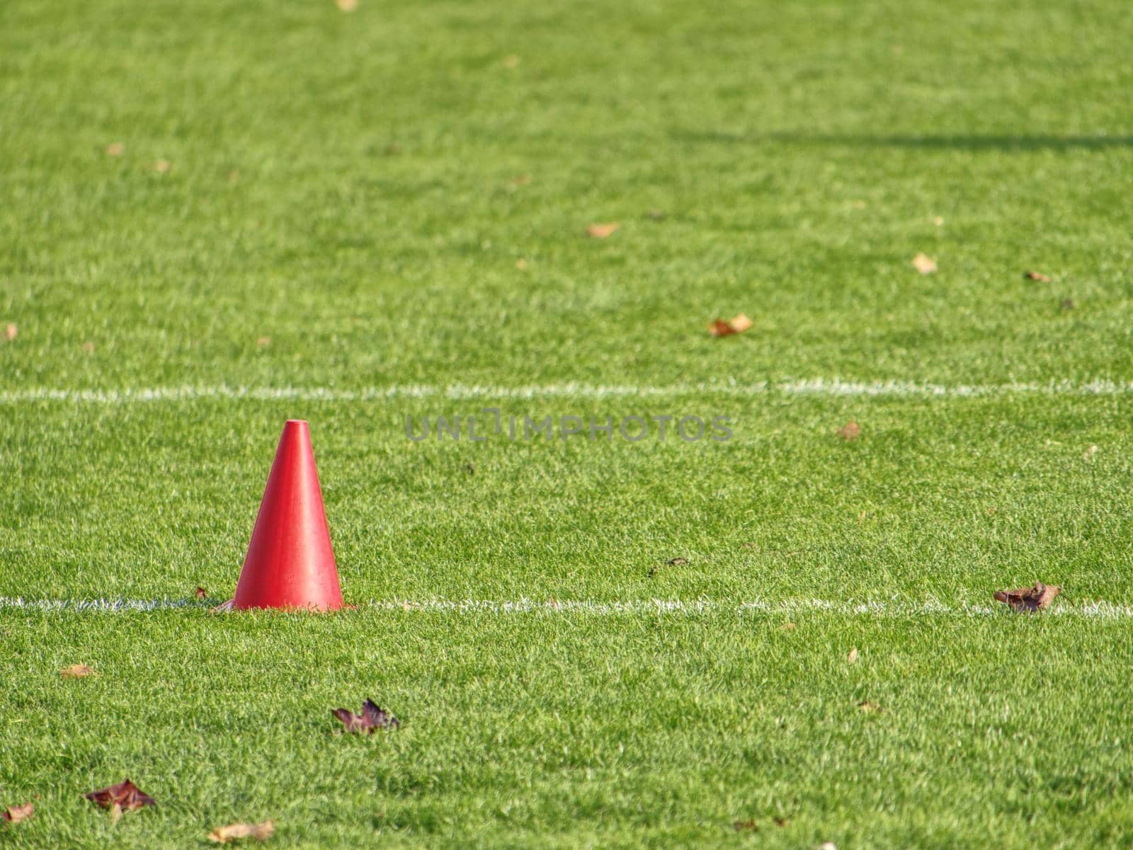 Training equipment on the green field of the stadium. Banana and small cones in line.