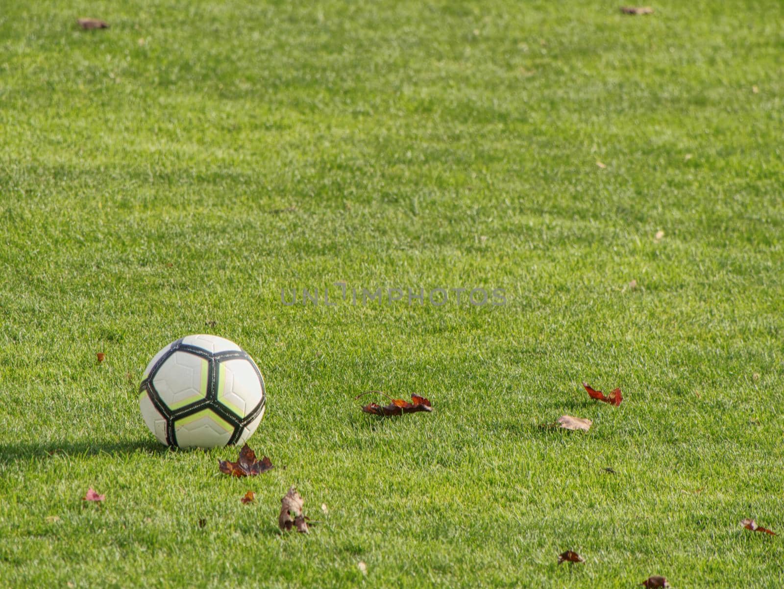 White lines on football playground. Detail of a of white lines in a soccer field.