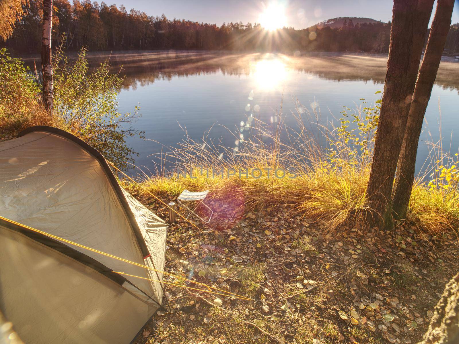 Camping at lake. Fisherman green tent at lake shore under aspen trees. 