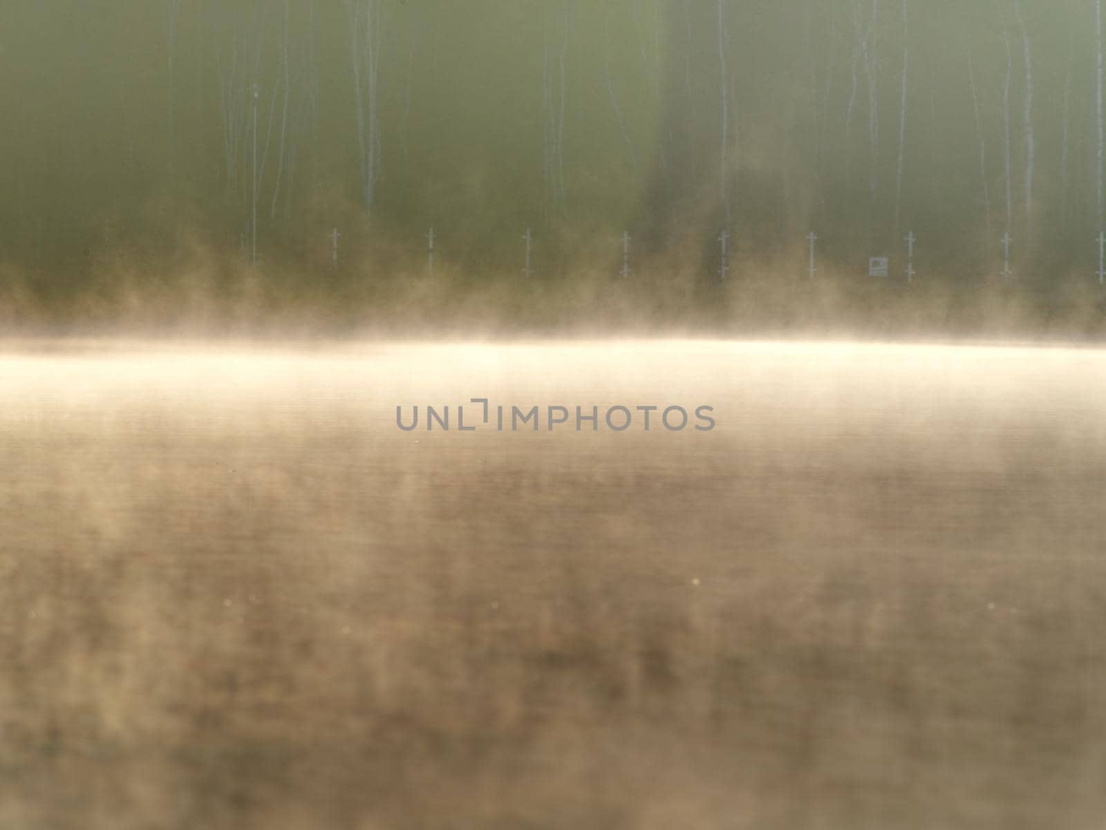 Mirroring of treetops in lake water level. Gentle mist above water in orange shadows from daybreak sun.