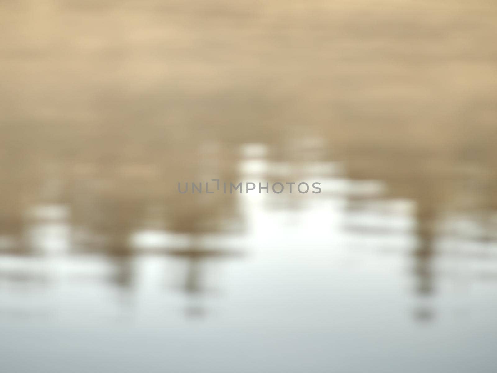 Mirroring of treetops in lake water level. Gentle mist above water in orange shadows from daybreak sun.