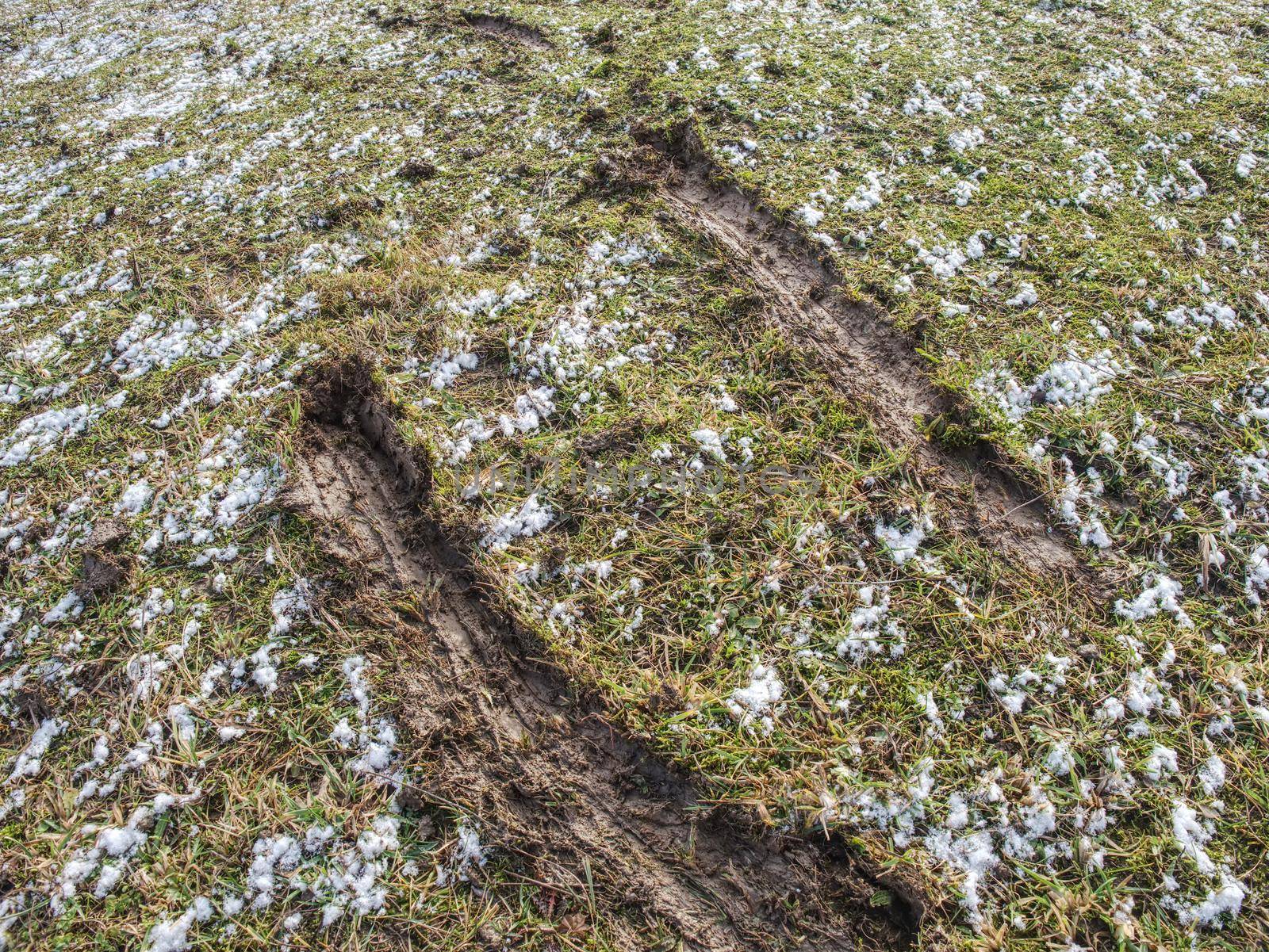 Horse hoofprints on wet muddy slippery ground.  Horse slipped while run in mud.
