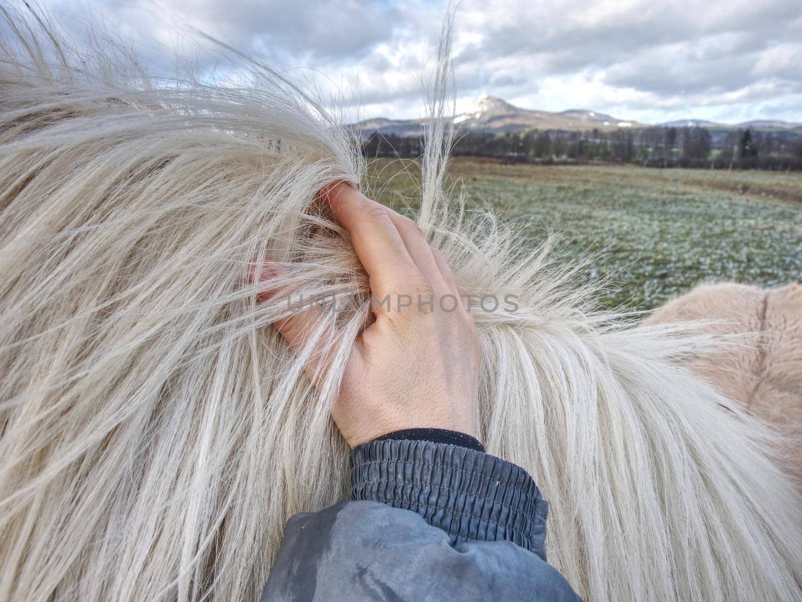 Check of winterizing of horse. Horses acclimated to cold temperatures often prefer and are better off outdoors