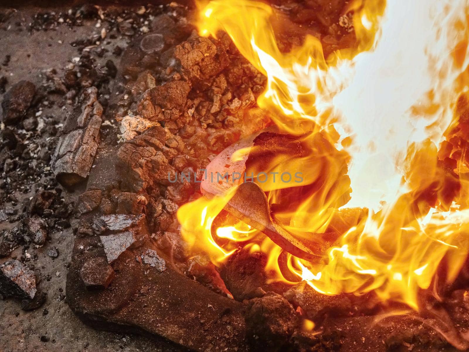 Heating process of metal  bar on the hot coals for forging horse shoe on the anvil