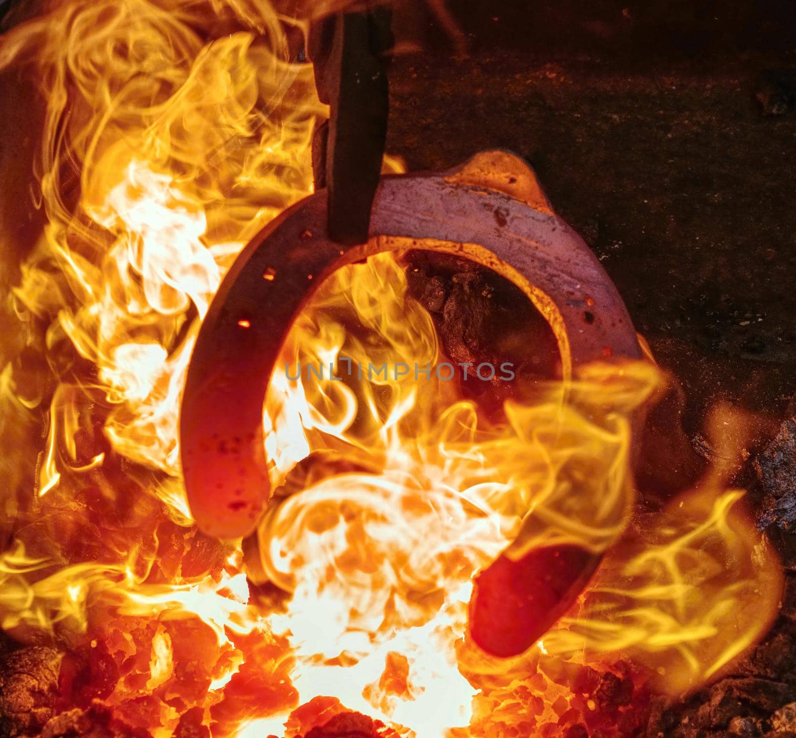 Heating process of metal  bar on the hot coals for forging horse shoe on the anvil