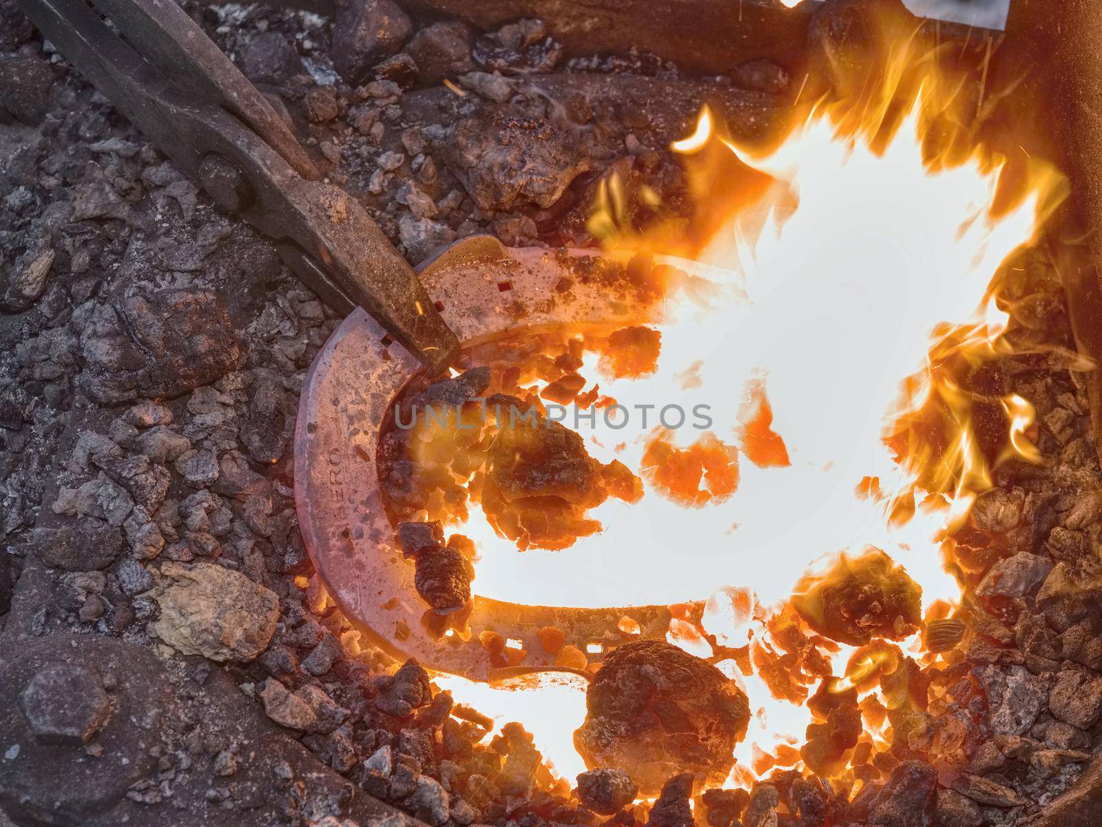 Craftsman blacksmith warming iron to create  horseshoe in the fire and on the anvil