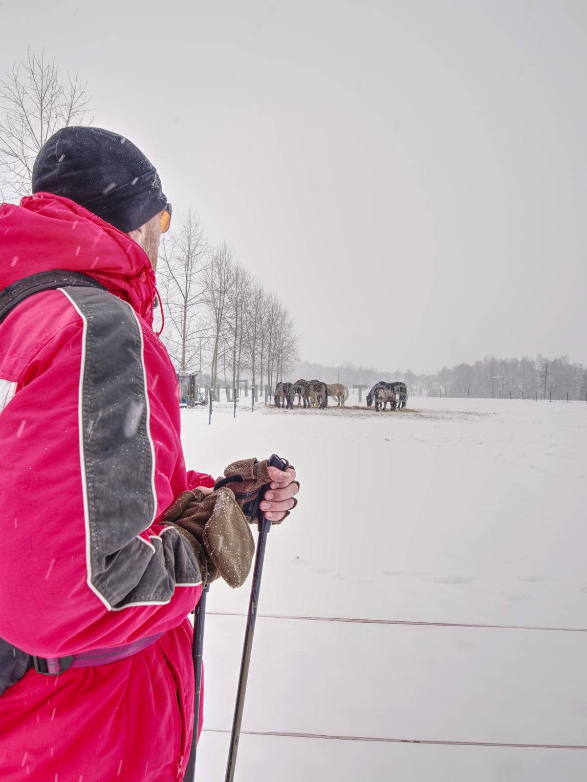 Hiker with snowshoes and technical outdoor clothing for mountain walks in snow