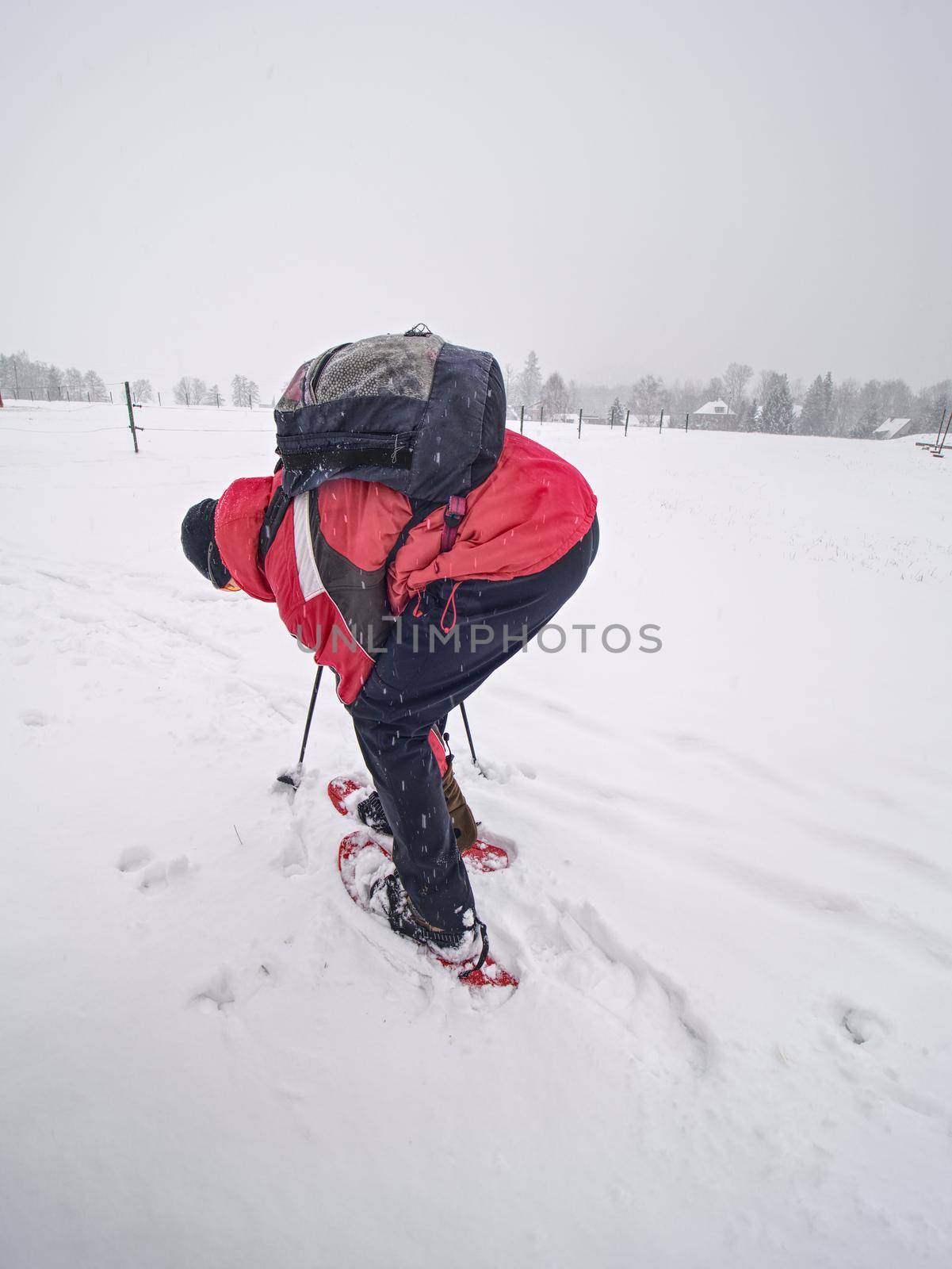 Snowshoe hiking in land. Active outdoor man hikes in farm range in snowfalling