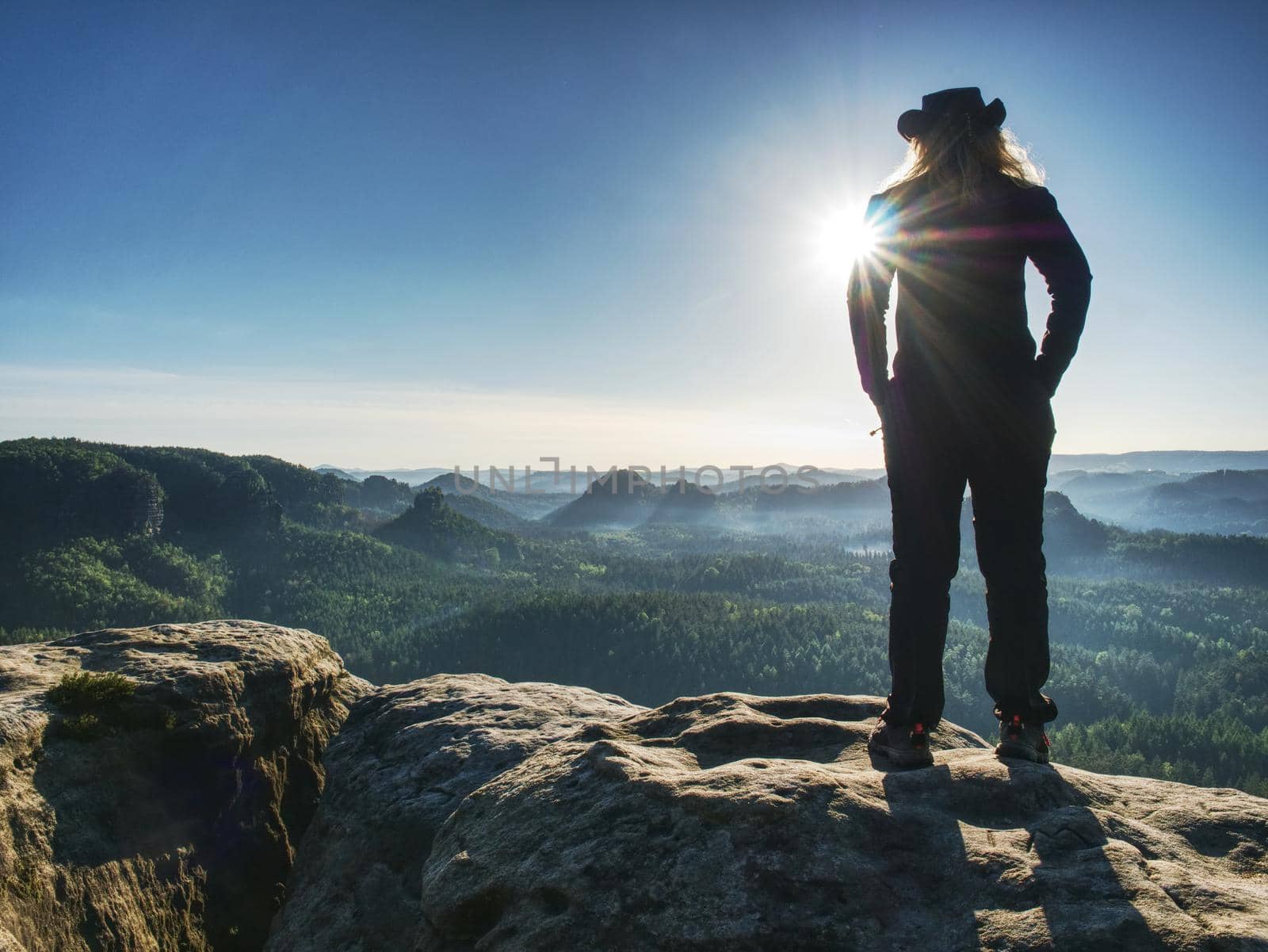 Adult cow woman standing on a rock with head held. Beautiful Sunrise view and sea of mist in morning