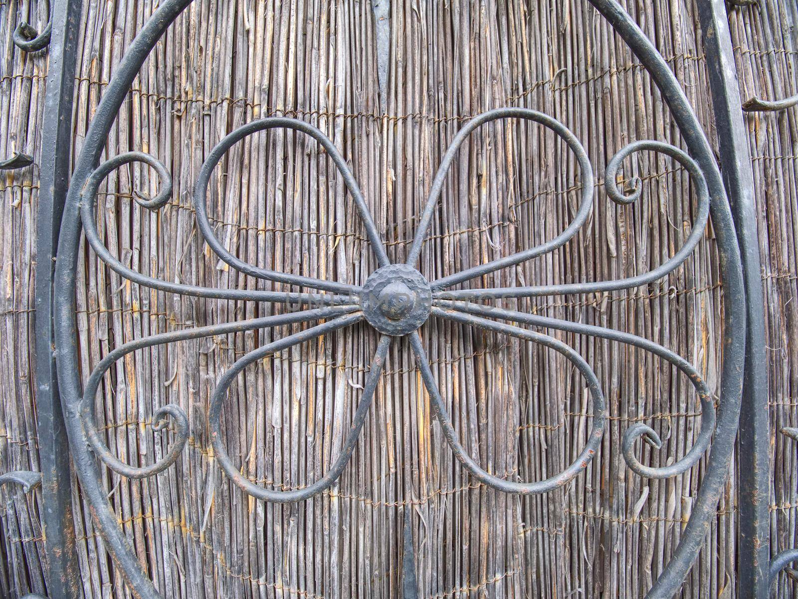 Elaborate ornamental wrought Iron fence against reeds wall by rdonar2