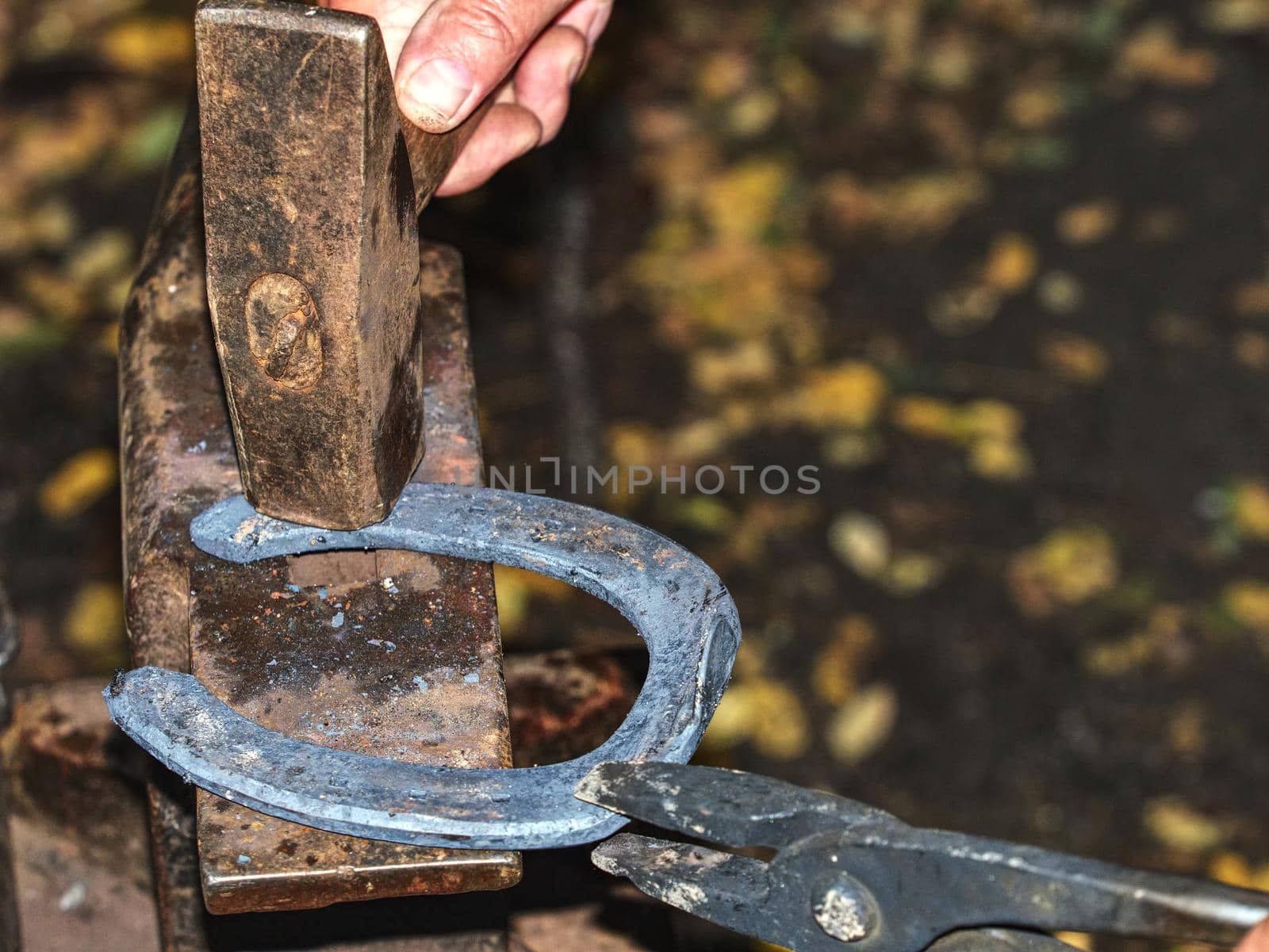 Skilled smith man striking a red hot horseshoe on the anvil. Traditional plastic deformation of molten metal.