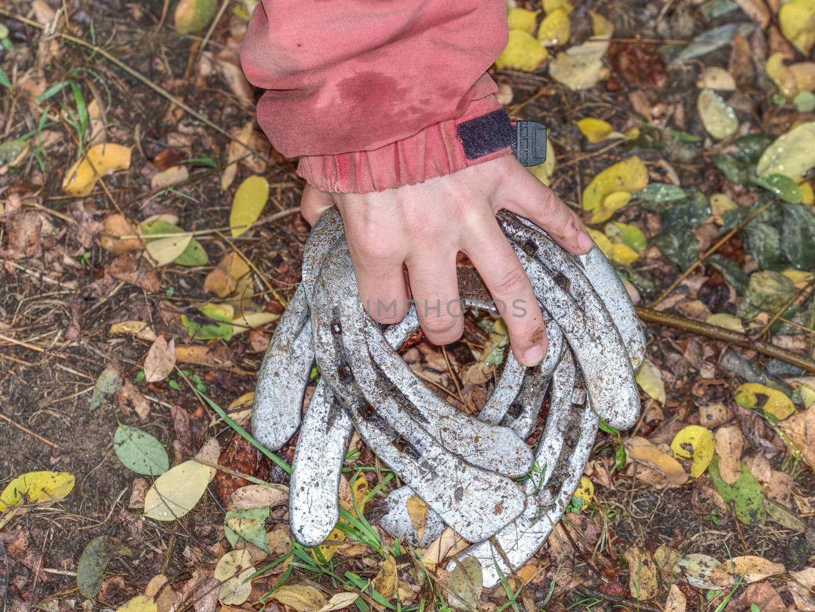 Silver used horse shoes on palm of young woman in red jacket.  Fall season still with obsolet  horseshoes on wet ground dotted with fallen leaves.