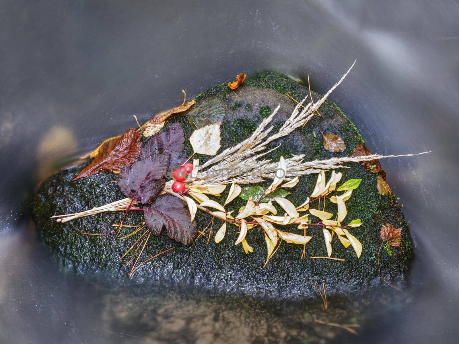 Fall bouquet of dry flowers and fallen leaves on a stone in a creek. Leafage symbol on wet moss stone in mountain stream