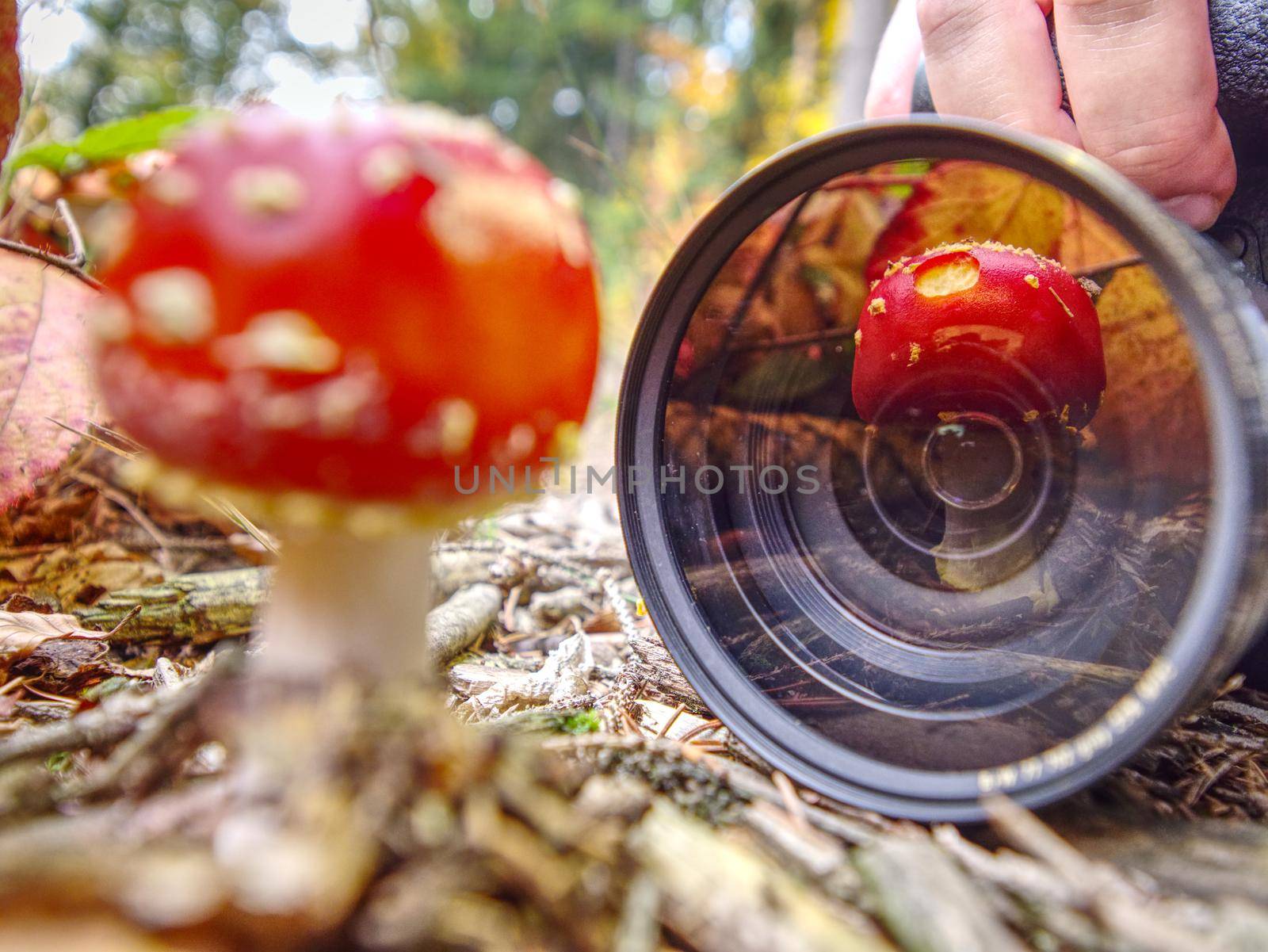 Mushroom mirroring in camera lens while photographer  work by rdonar2