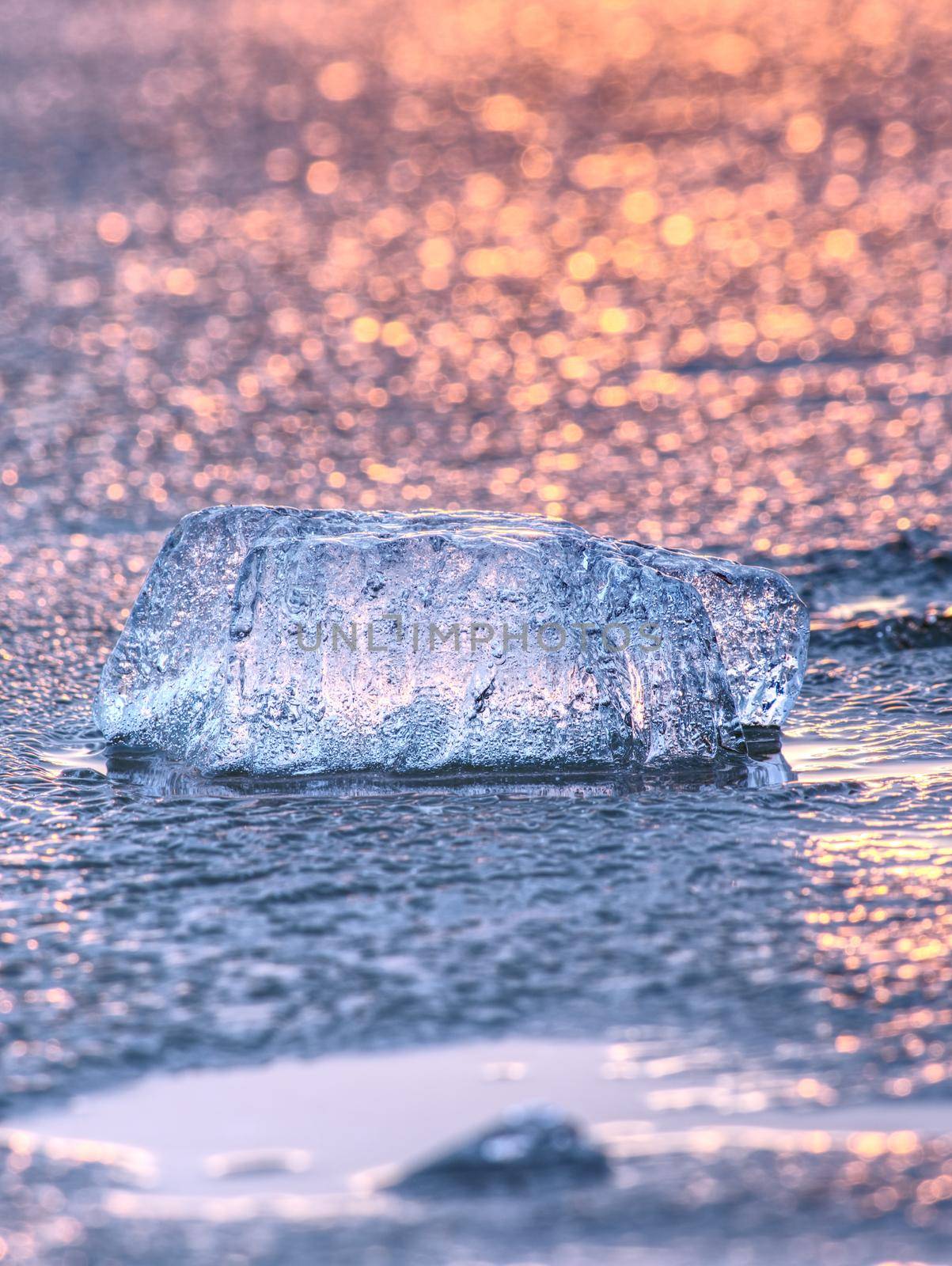 Shiny cold ice pieces on clear ice floe. Structure of natural ice in selective focus photograph.  Vivid colors of polar sunset.