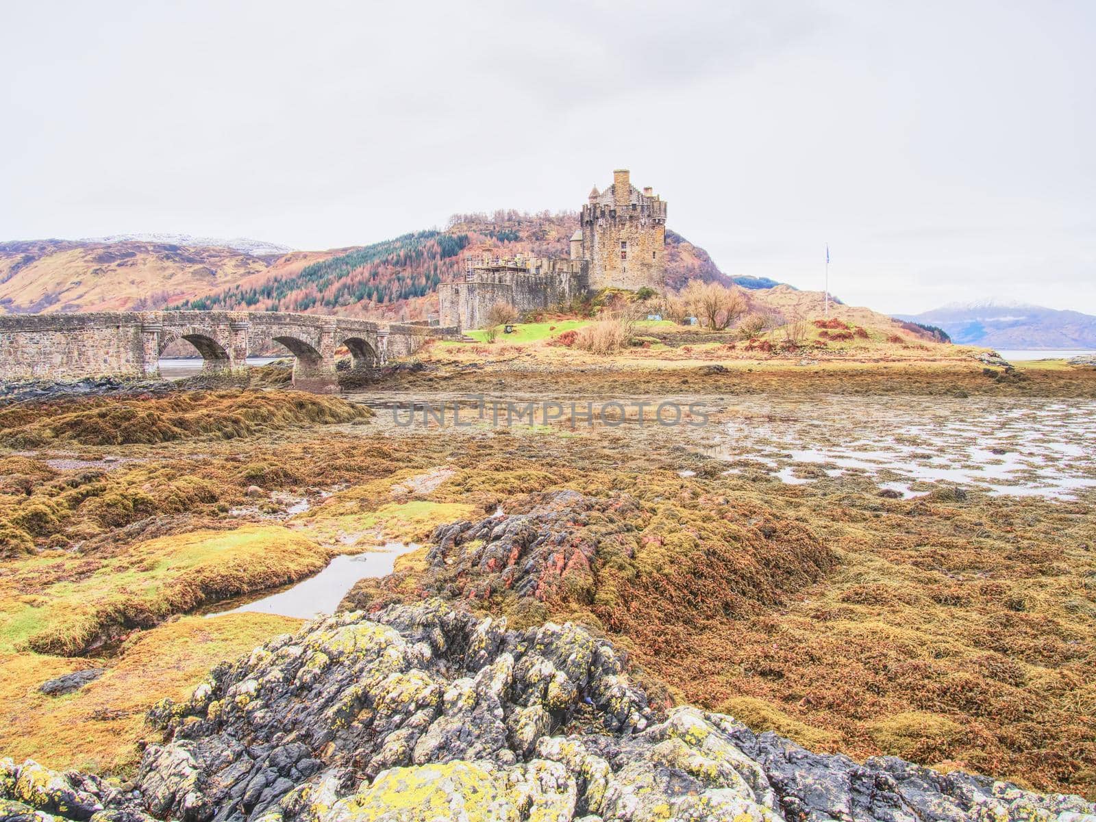 Tides in the lake at Eilean Donan Castle, Scotland. The popular stony bridge over the remnants of water with massive tufts of water algae. Poor light with low cloud.