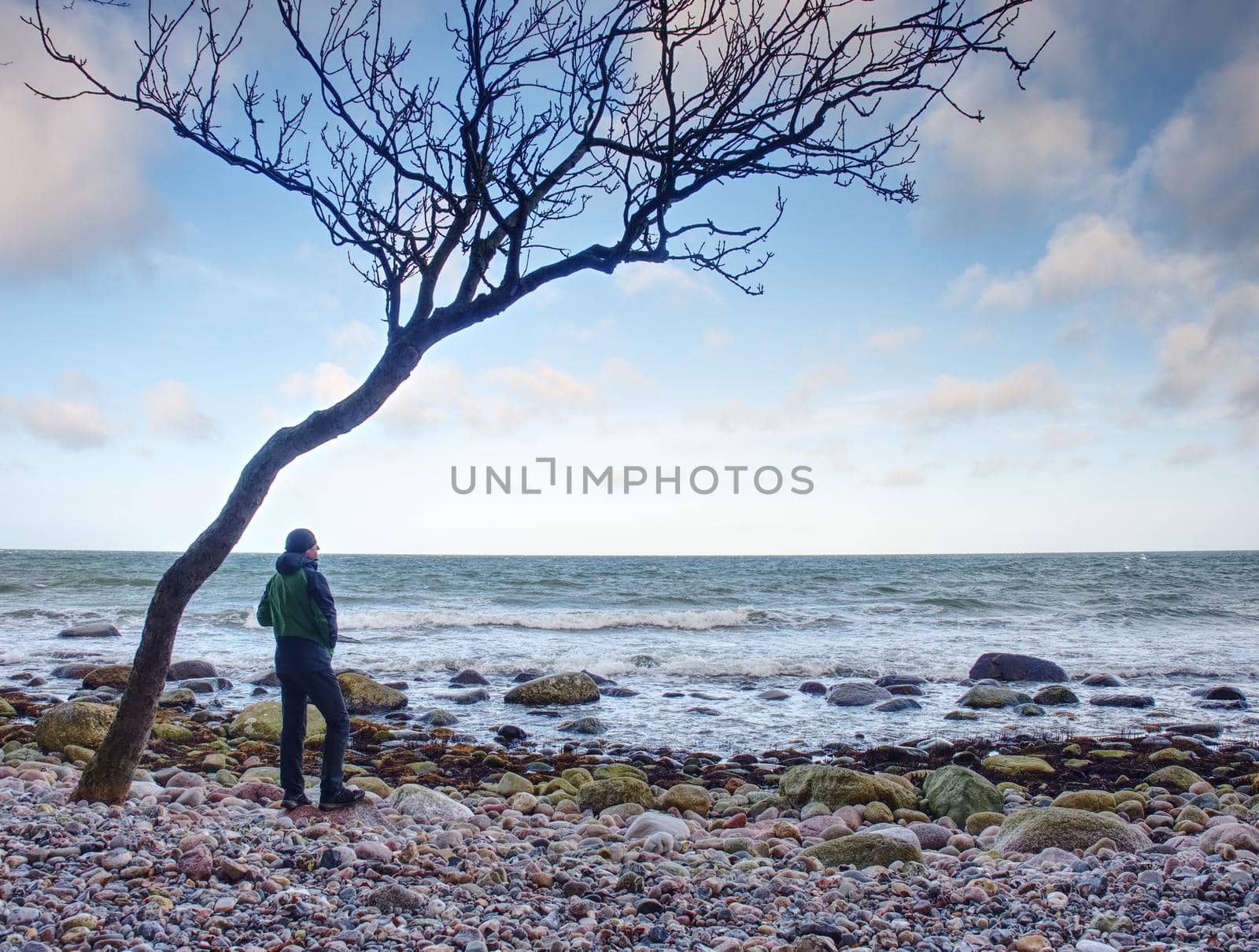 Wide-angle shot of the sunset on a tropical beach with stones. Beautiful tree on the coastline pink sun flare on the horizon