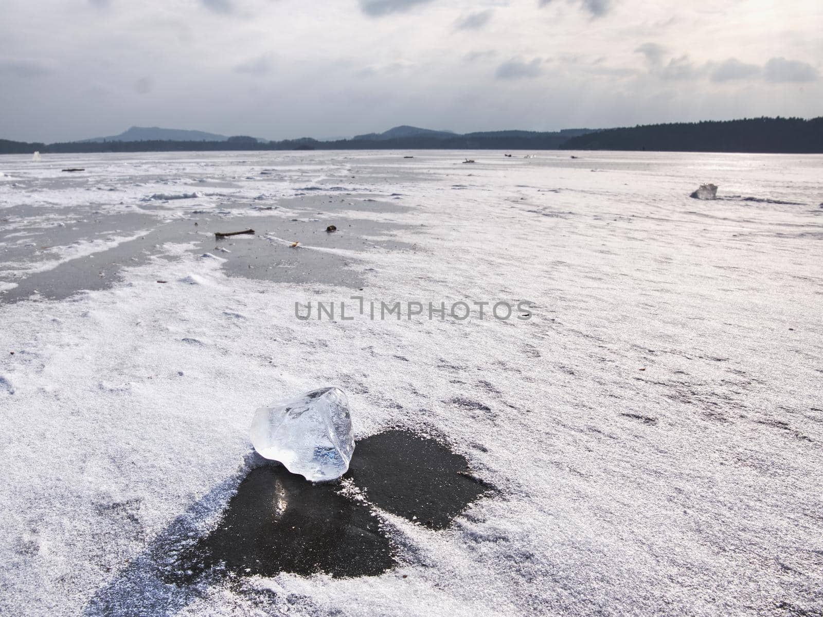 Arctic ice. Broken pieces of glacier floating on large floe to ocean