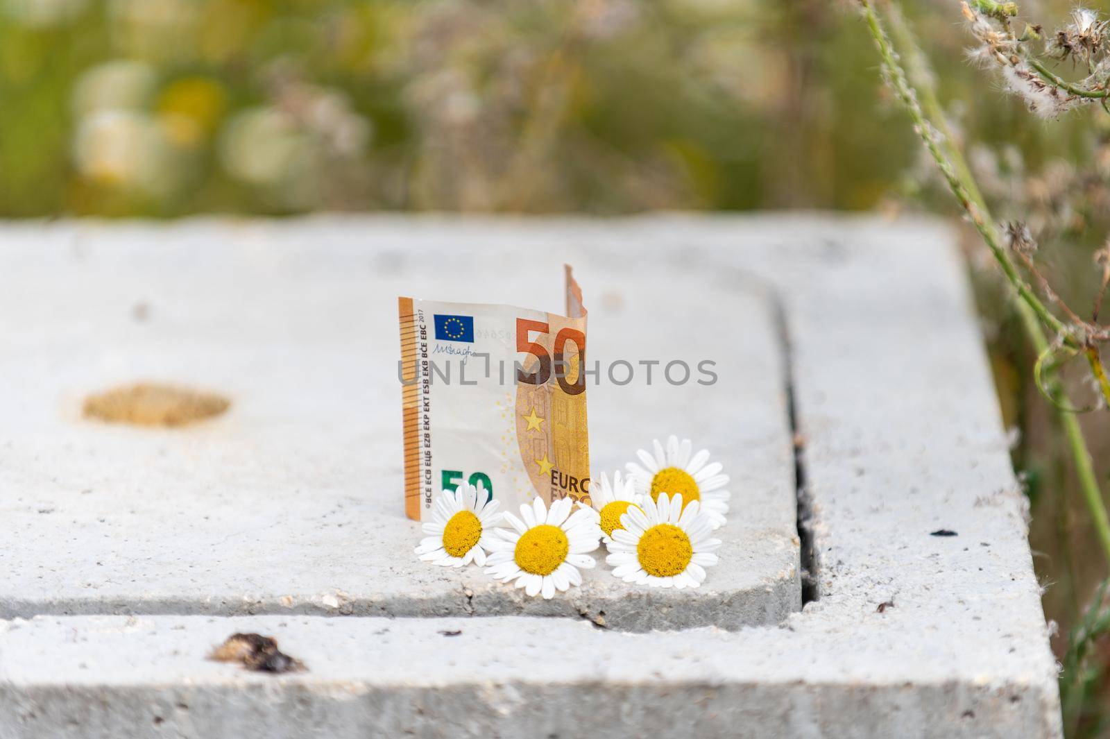 50 euro banknote resting on a manhole cover with daisy flowers