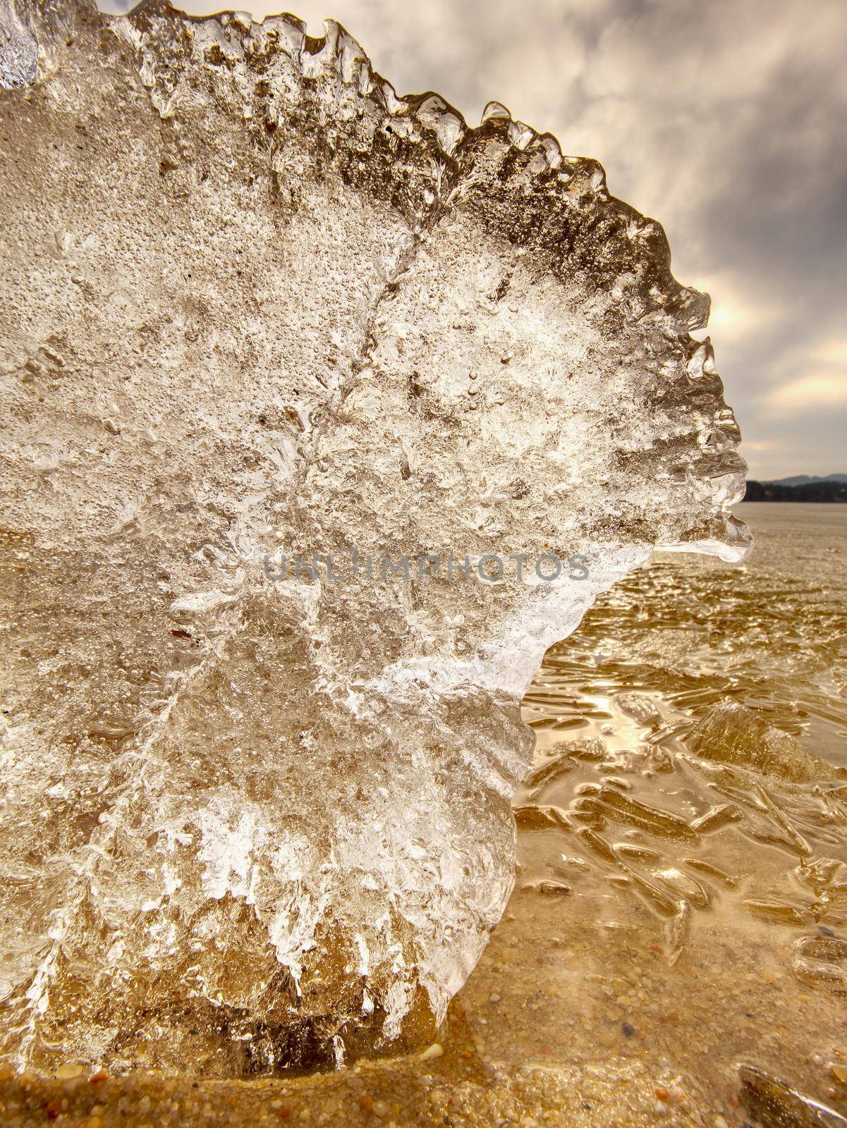  Ice melting on sandy beach.  Detail of ice floe with deep cracks inside by rdonar2