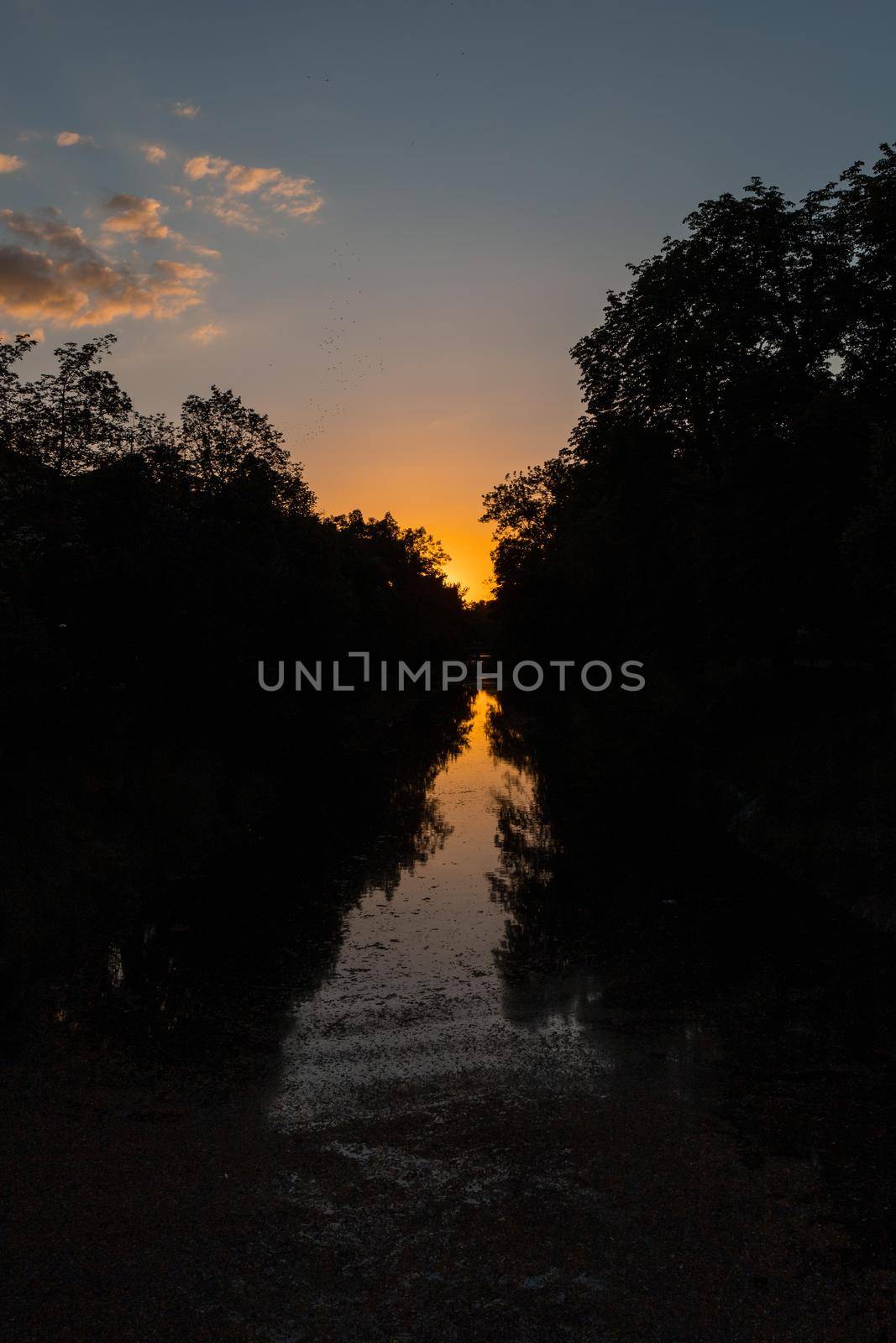 Beauty sunset over small river between high trees by Wierzchu