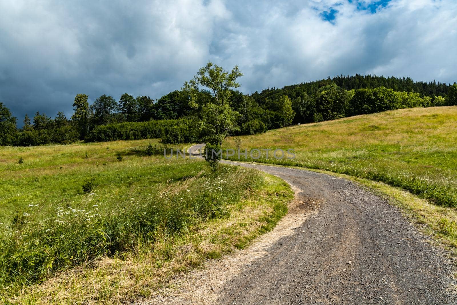 Long mountain trail in Walbrzych Mountains at cloudy day by Wierzchu