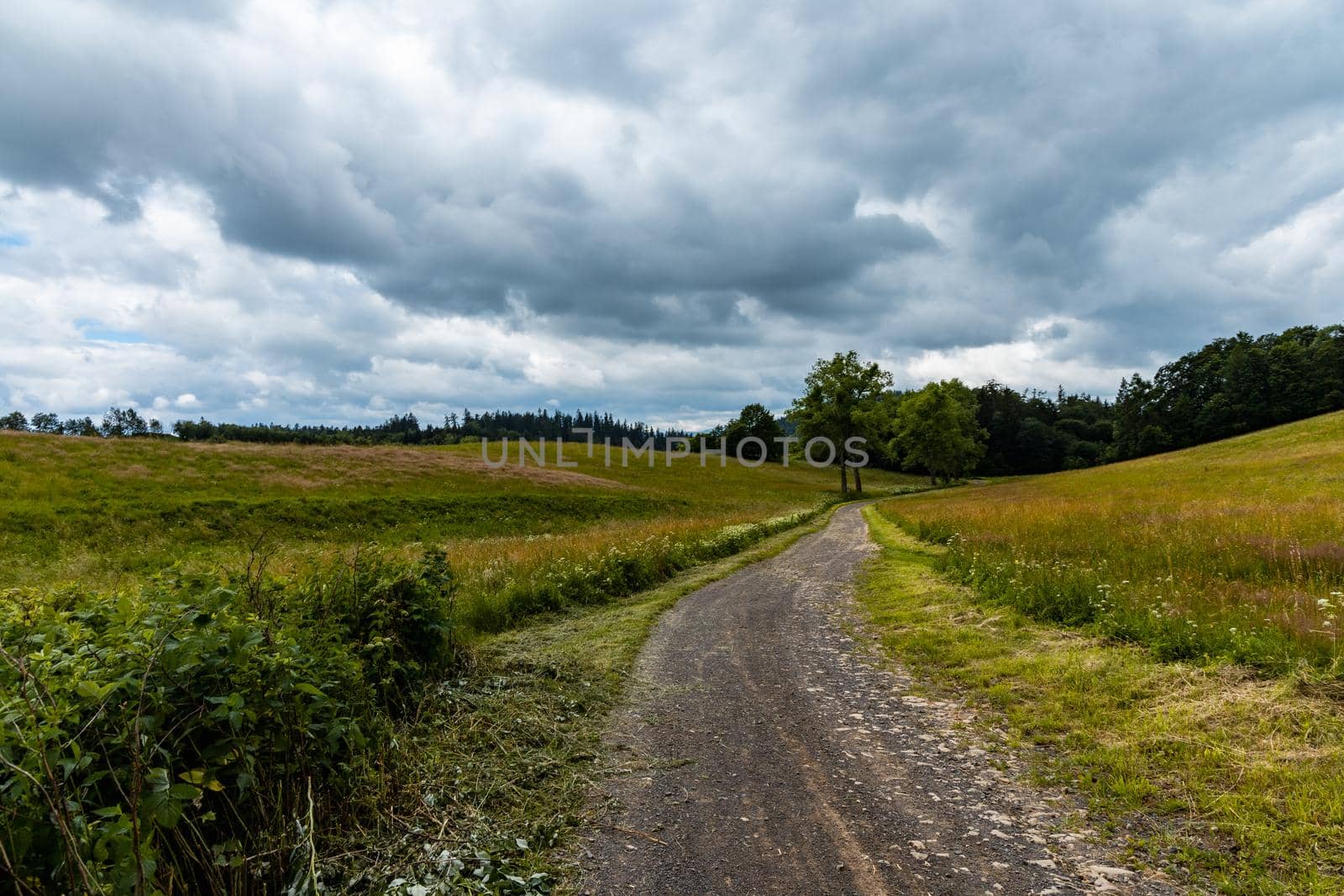 Long mountain trail in Walbrzych Mountains at cloudy day