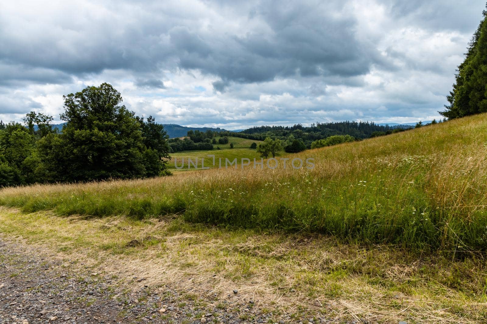 Long mountain trail in Walbrzych Mountains at cloudy day by Wierzchu